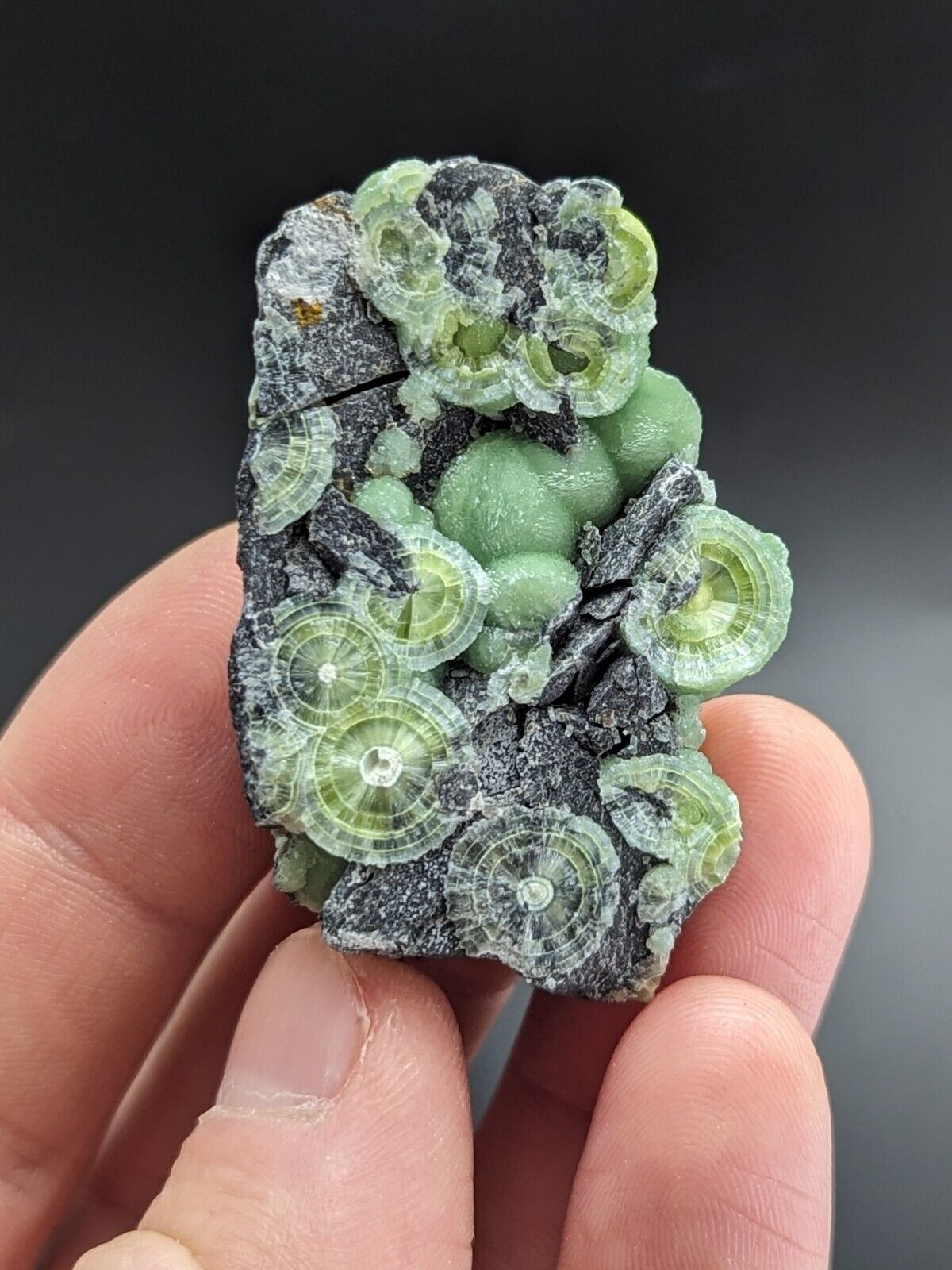 Amazing A + + + Wavellite - Fantastic Old Stock - Mauldin Mountain Arkansas ooak - Collectibles:Rocks Fossils &