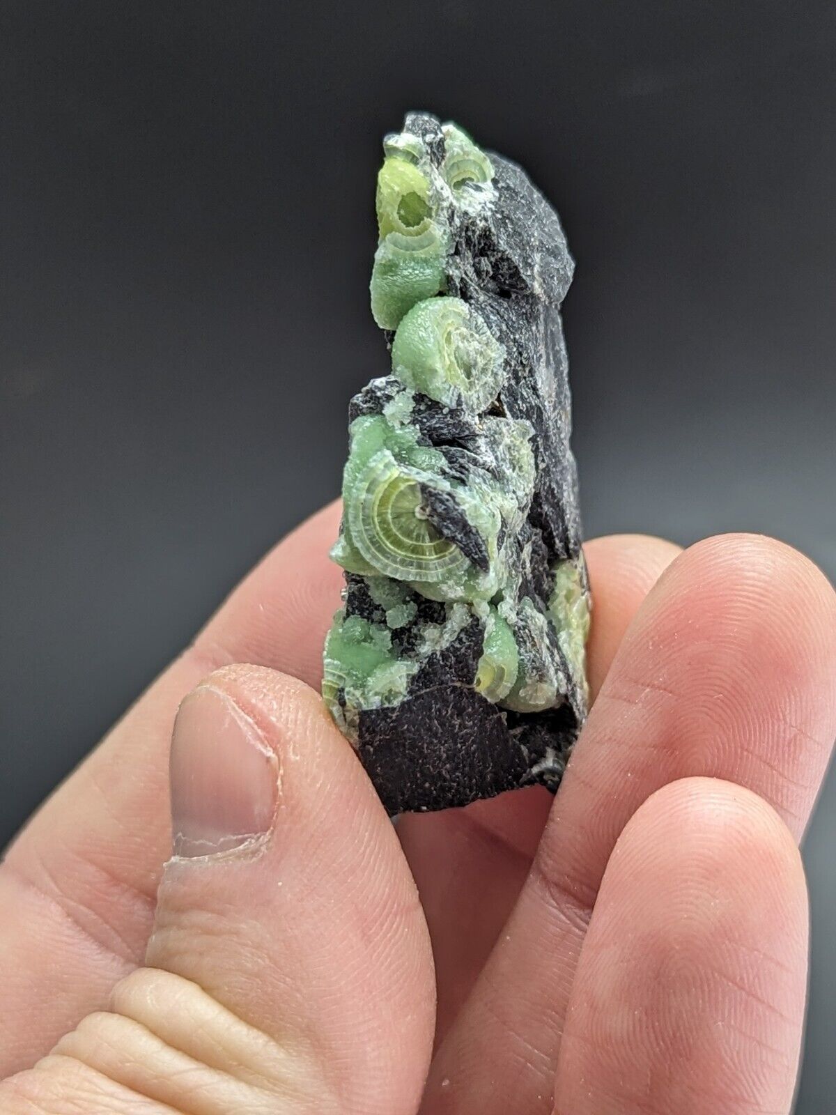Amazing A + + + Wavellite - Fantastic Old Stock - Mauldin Mountain Arkansas ooak - Collectibles:Rocks Fossils &