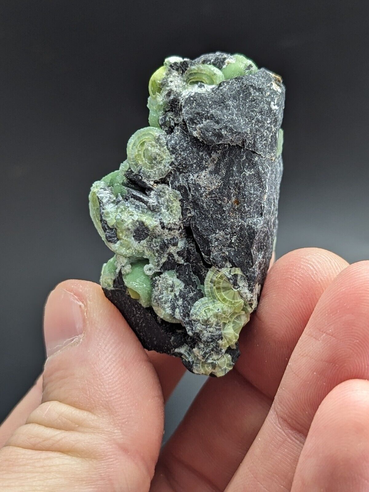 Amazing A + + + Wavellite - Fantastic Old Stock - Mauldin Mountain Arkansas ooak - Collectibles:Rocks Fossils &