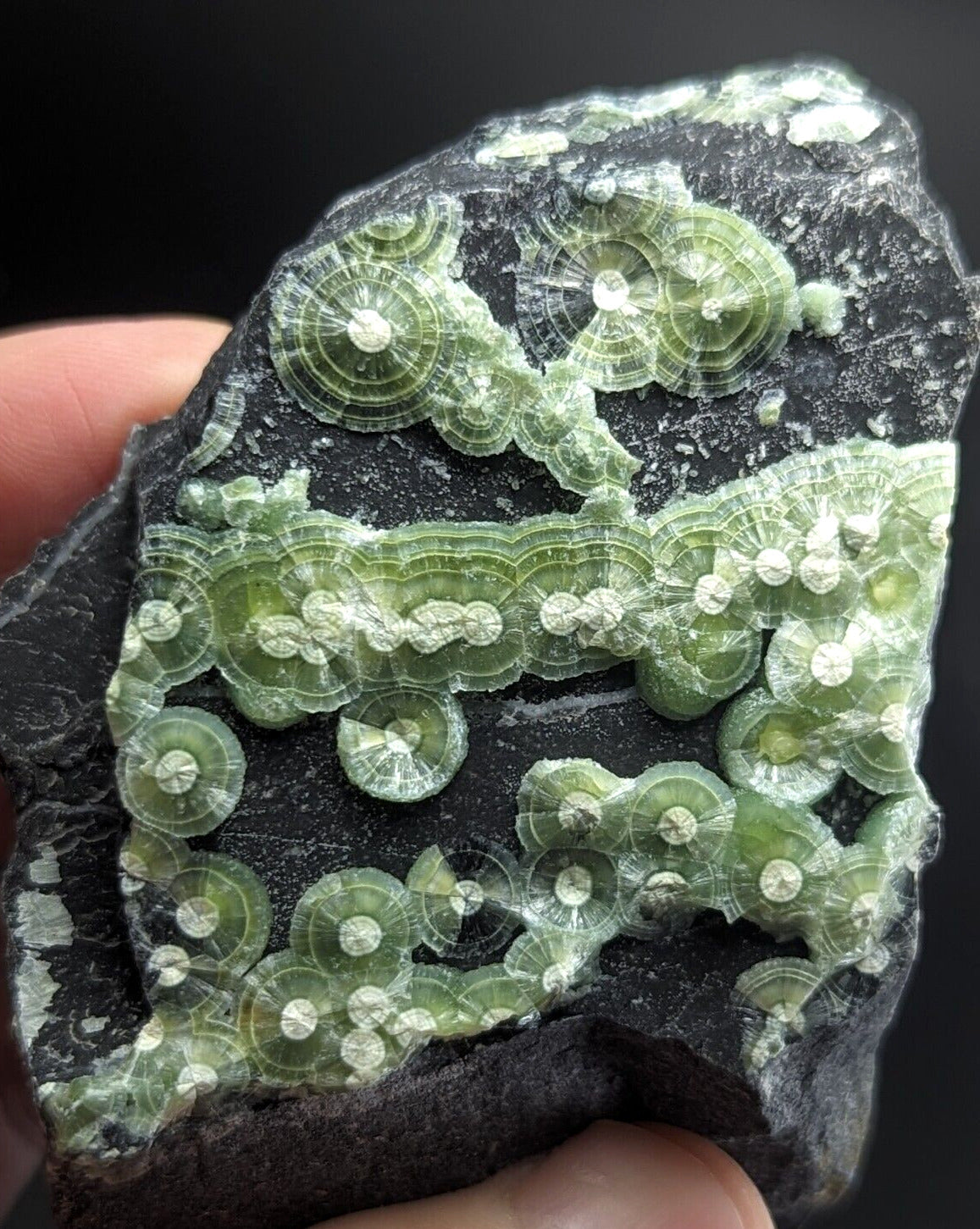 Amazing A + + + Wavellite - Fantastic Old Stock - Mauldin Mountain Arkansas ooak - Collectibles:Rocks Fossils &