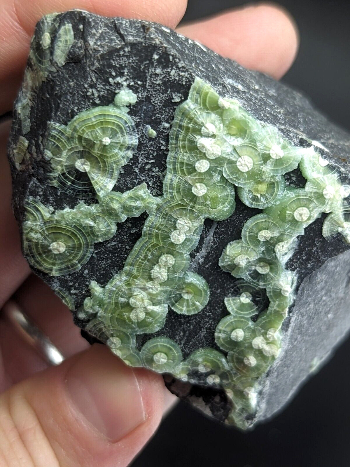 Amazing A + + + Wavellite - Fantastic Old Stock - Mauldin Mountain Arkansas ooak - Collectibles:Rocks Fossils &