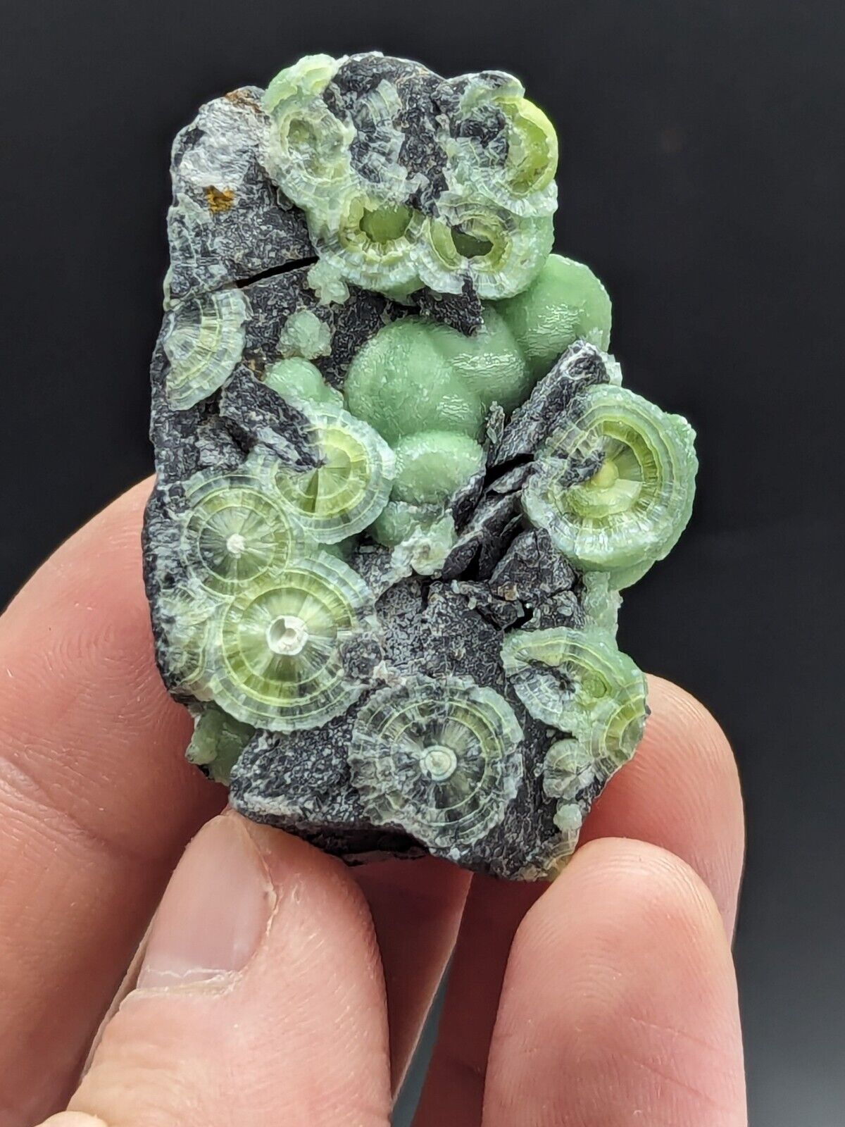 Amazing A + + + Wavellite - Fantastic Old Stock - Mauldin Mountain Arkansas ooak - Collectibles:Rocks Fossils &