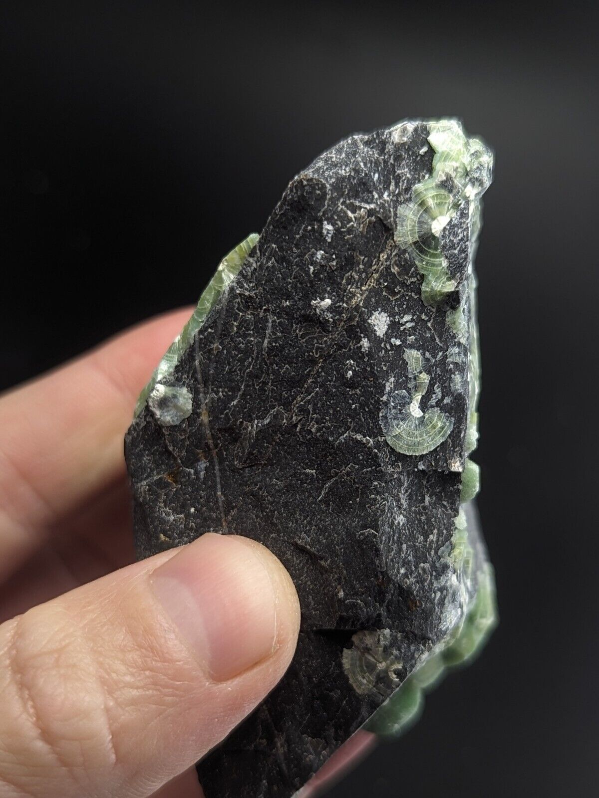 Amazing A + + + Wavellite - Fantastic Old Stock - Mauldin Mountain Arkansas ooak - Collectibles:Rocks Fossils &