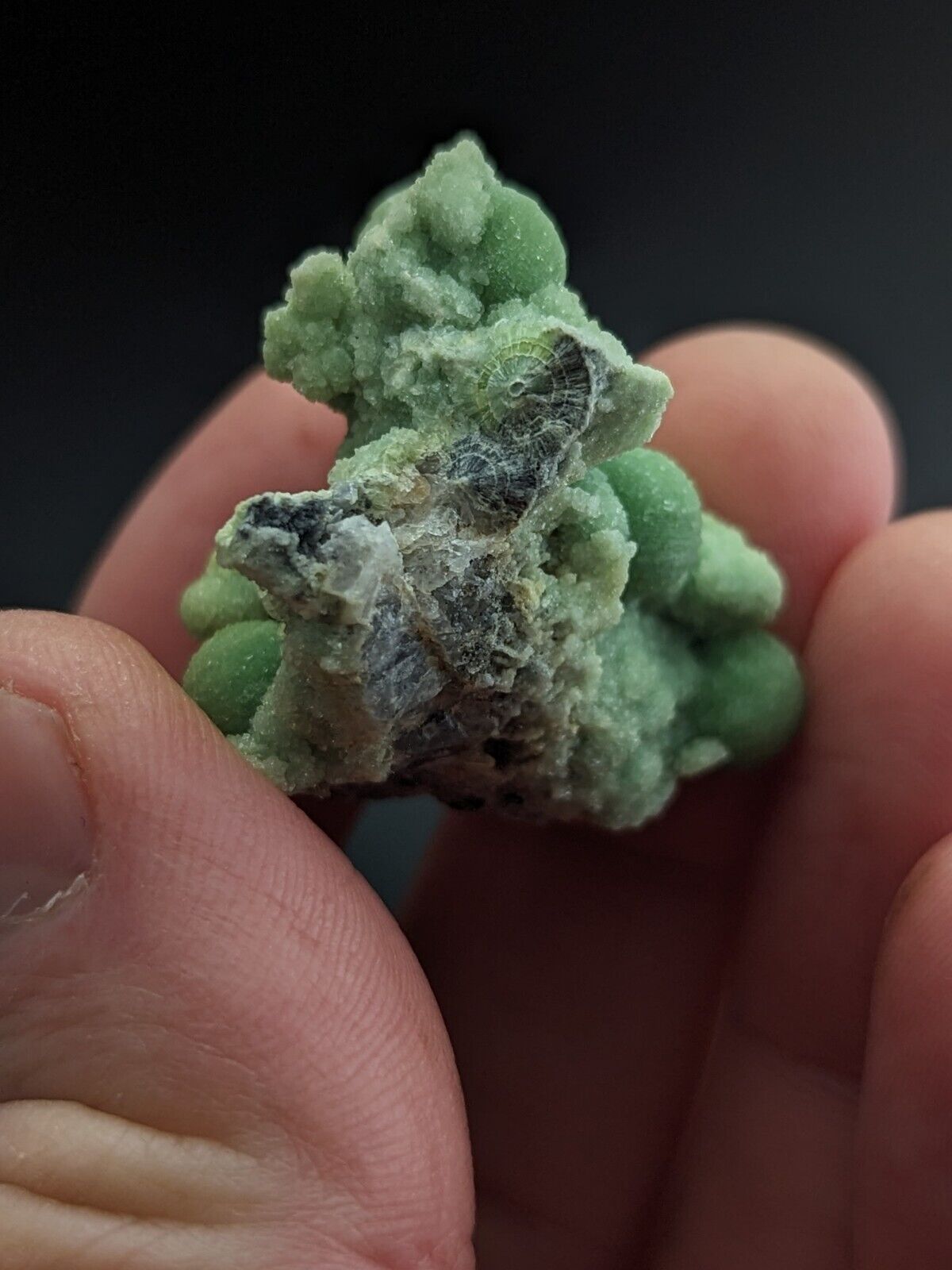 Amazing A + + + Wavellite - Fantastic Old Stock - Mauldin Mountain Arkansas ooak - Collectibles:Rocks Fossils &