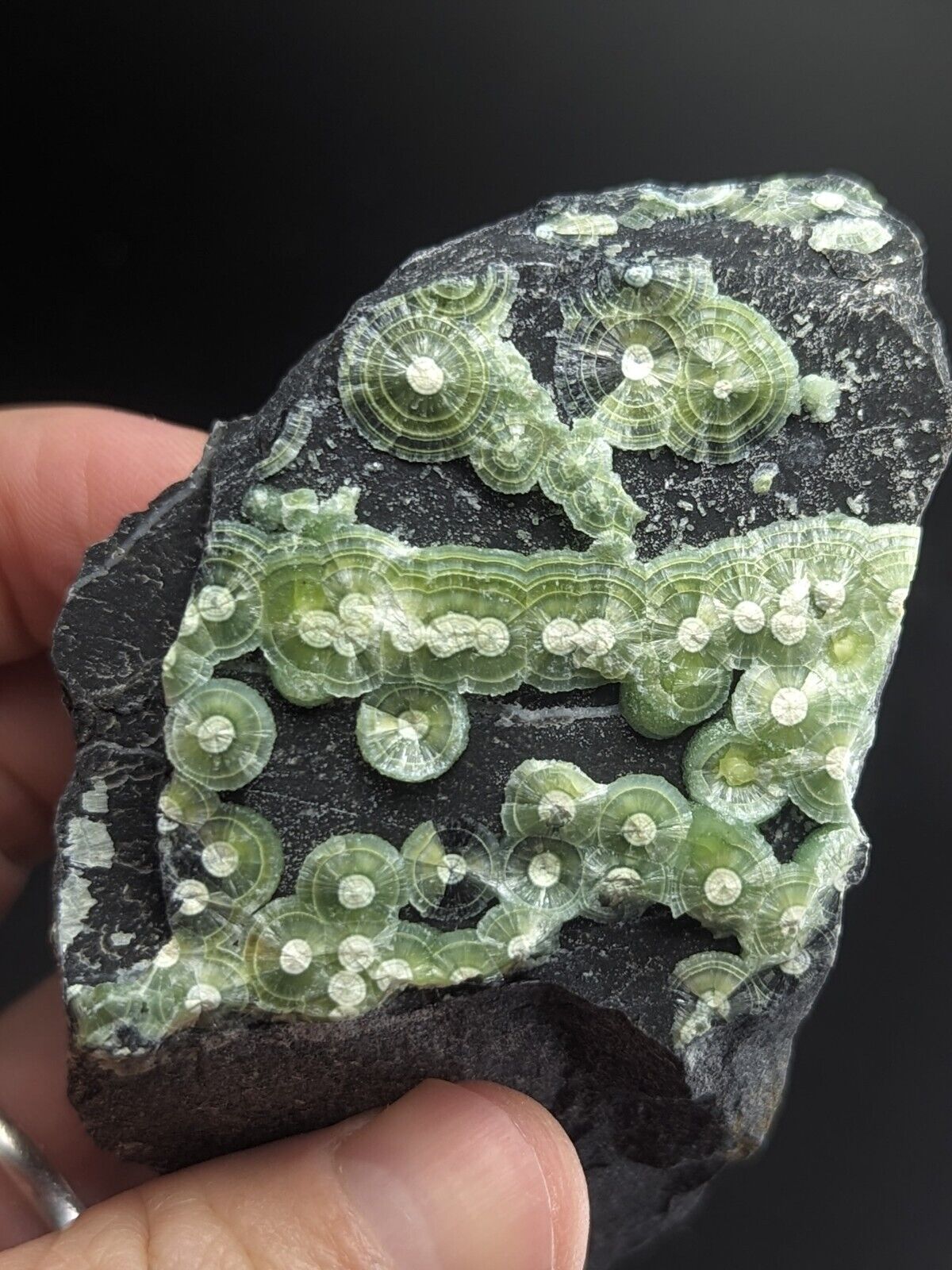 Amazing A + + + Wavellite - Fantastic Old Stock - Mauldin Mountain Arkansas ooak - Collectibles:Rocks Fossils &