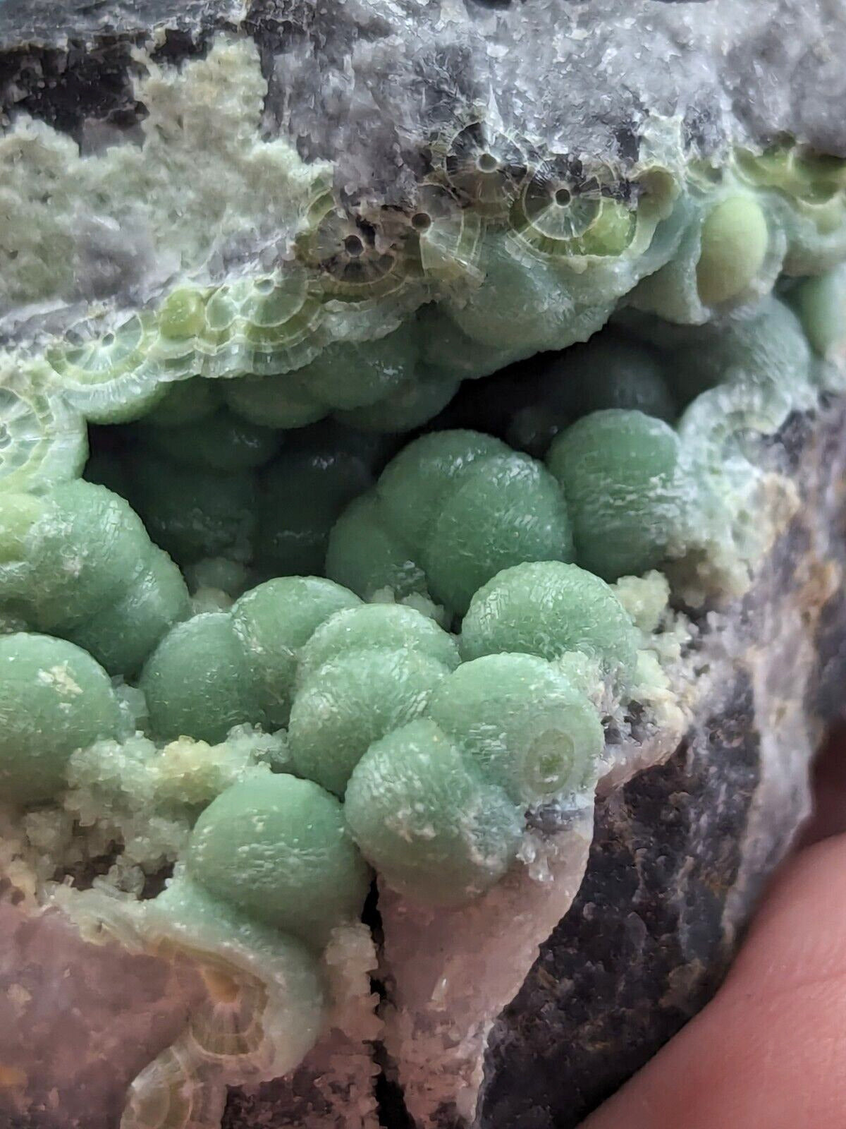 Amazing A + + + + Wavellite - Fantastic Old Stock - Mauldin Mountain Arkansas ooak - Collectibles:Rocks Fossils &