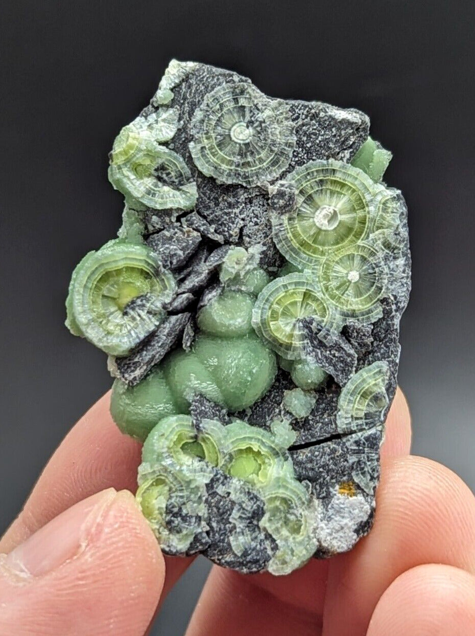 Amazing A + + + Wavellite - Fantastic Old Stock - Mauldin Mountain Arkansas ooak - Collectibles:Rocks Fossils &