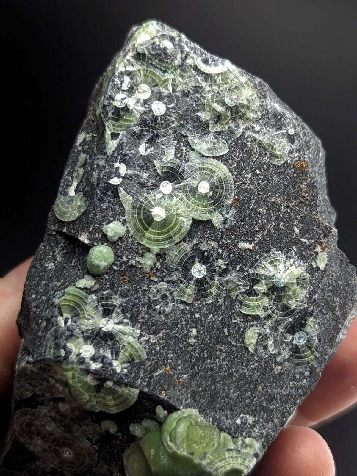 Amazing A + + + Wavellite - Fantastic Old Stock - Mauldin Mountain Arkansas ooak - Collectibles:Rocks Fossils &