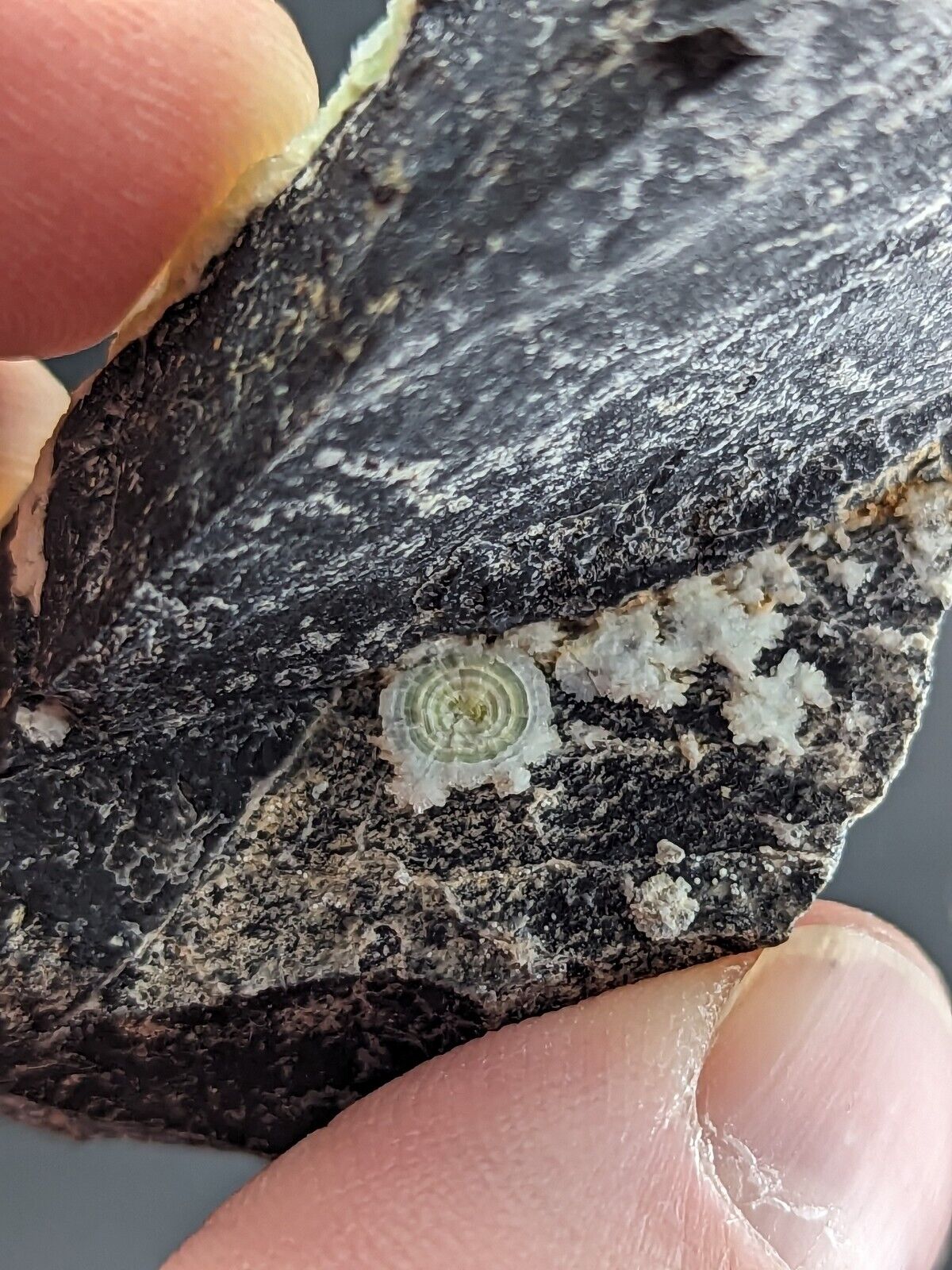 Amazing A + + + Wavellite - Fantastic Old Stock - Mauldin Mountain Arkansas ooak - Collectibles:Rocks Fossils &