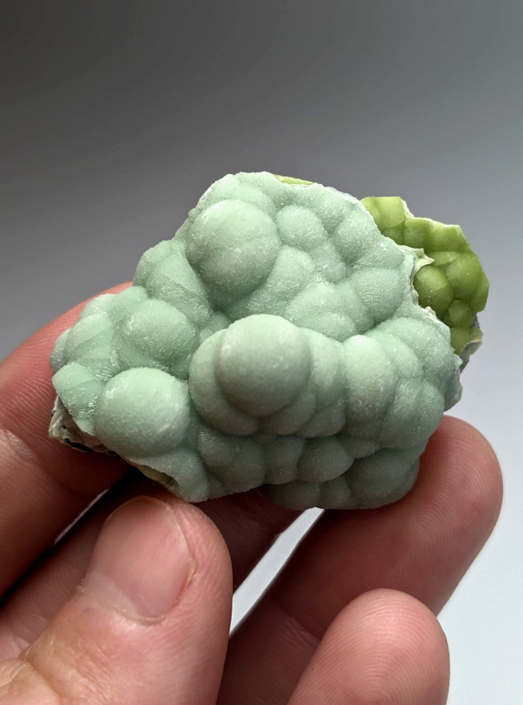 Amazing A+++ wavellite mineral specimen with pale green bubbly textured surface and rounded nodules from Arkansas