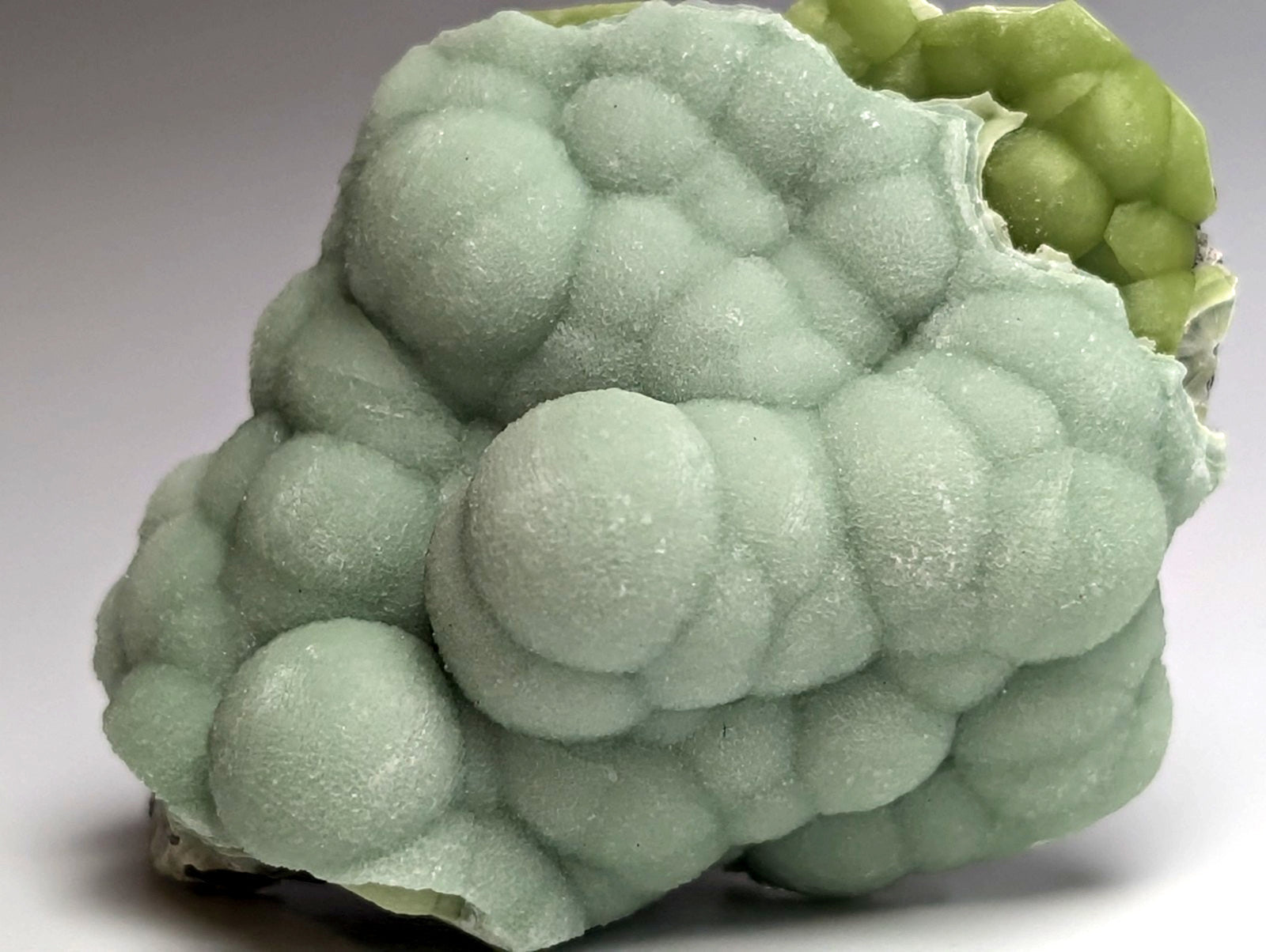 Amazing A+++ wavellite mineral specimen with pale green bubbly texture and rounded nodules from Mauldin Mountain Arkansas