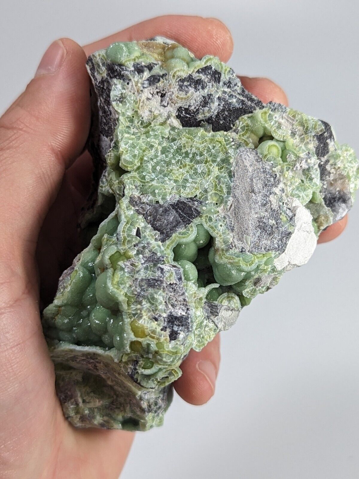 Amazing A + + + Wavellite - Fantastic Old Stock - Mauldin Mountain Arkansas ooak - Collectibles:Rocks Fossils &
