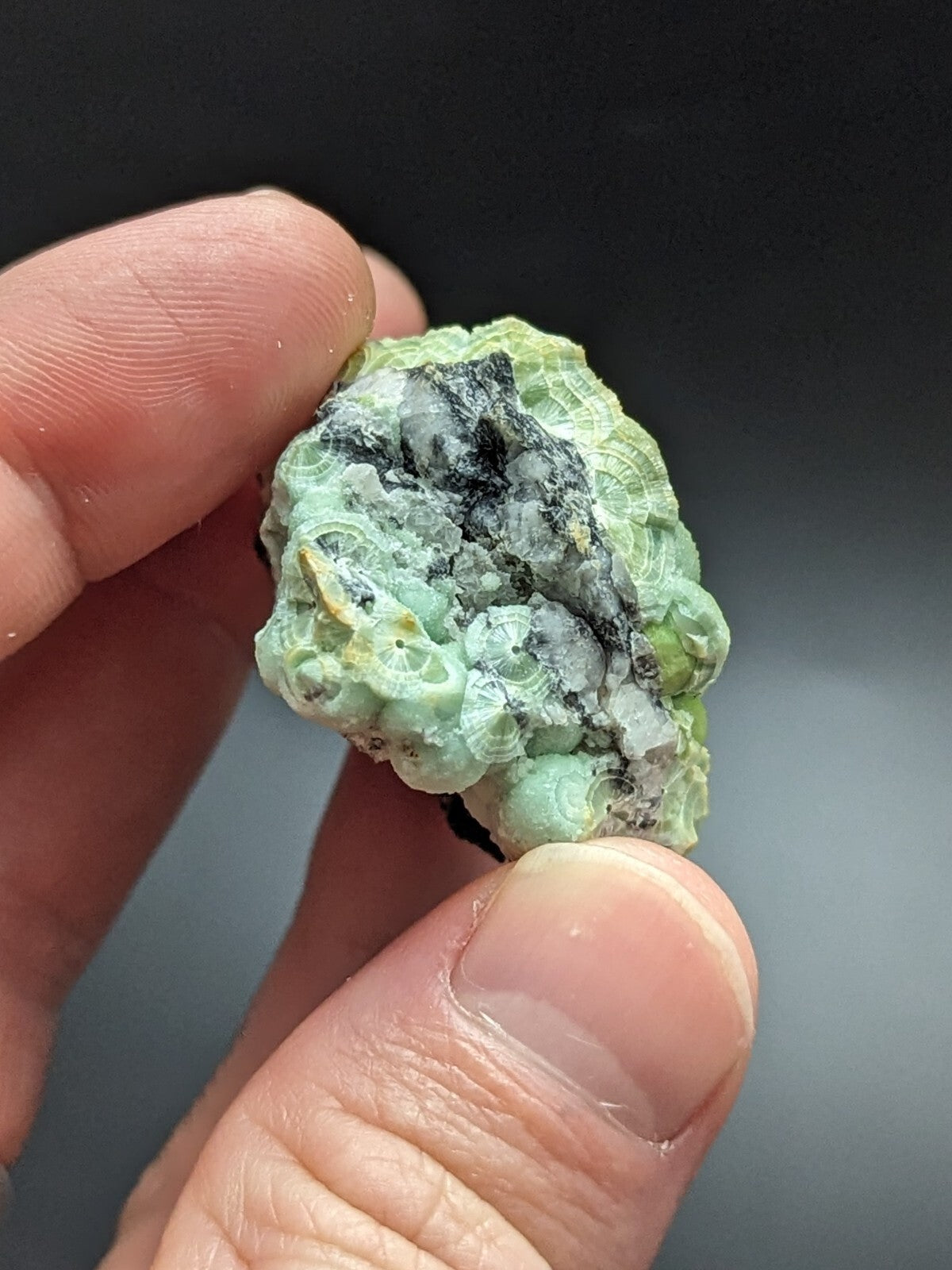 A hand holds a small, irregularly shaped piece of greenish-blue coral with black and white mineral inclusions.