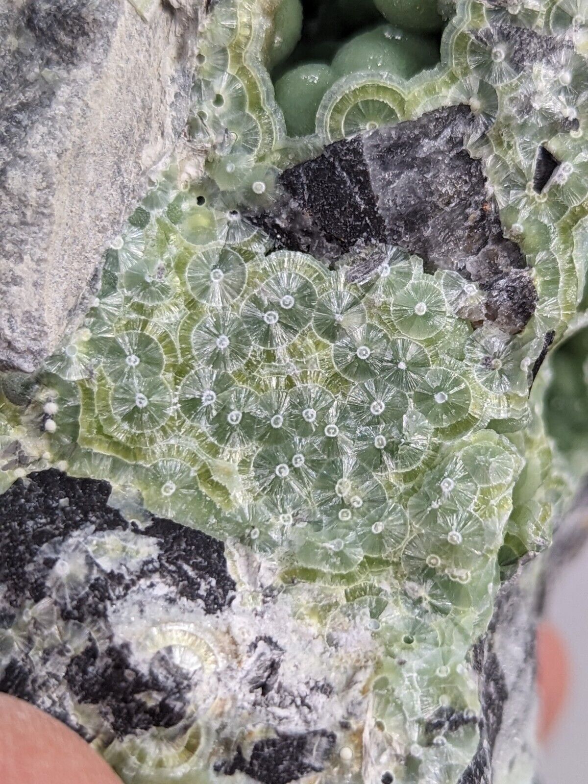 Amazing A + + + Wavellite - Fantastic Old Stock - Mauldin Mountain Arkansas ooak - Collectibles:Rocks Fossils &