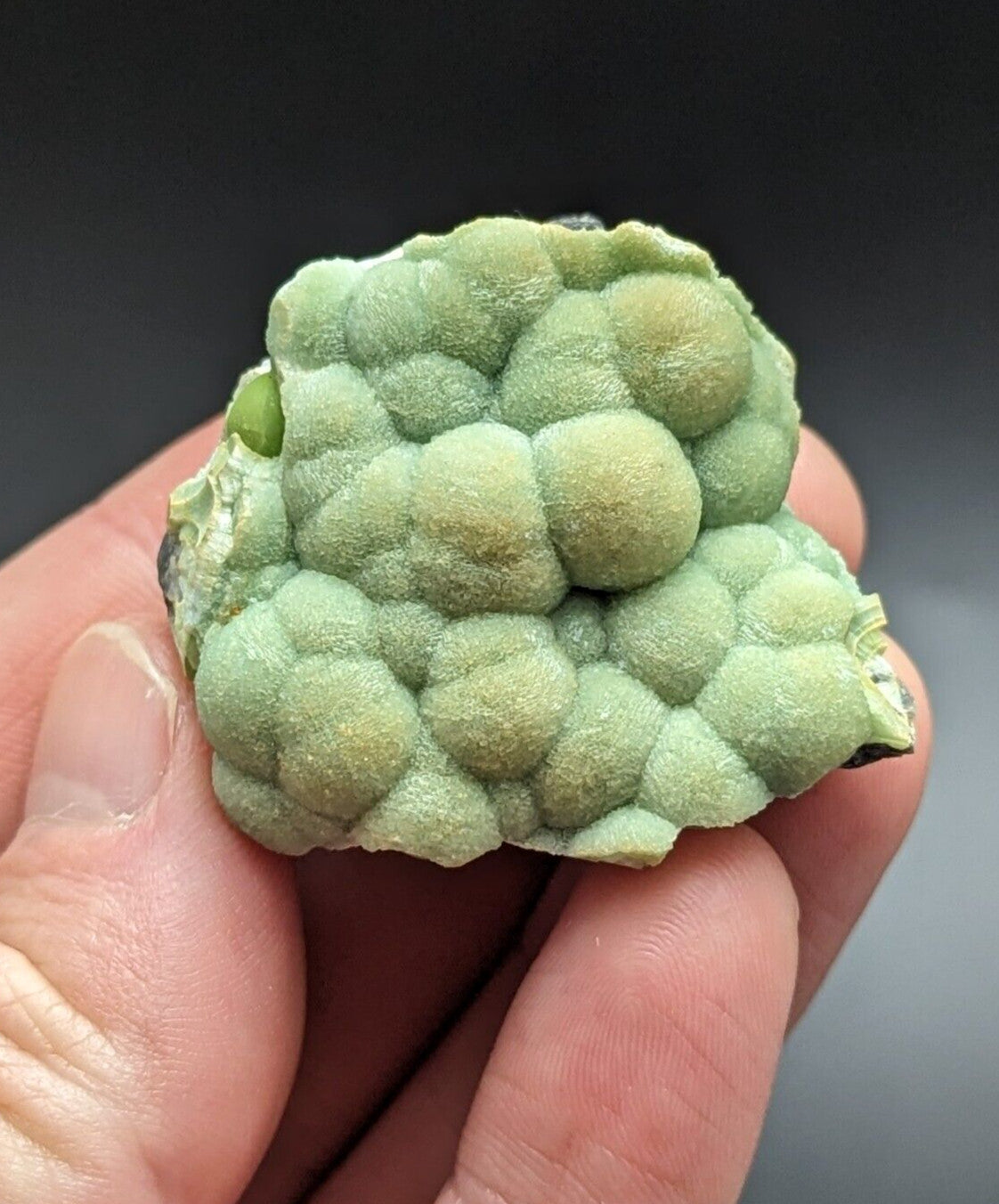 A pale green, bumpy mineral specimen with a textured surface resembling clustered spheres.