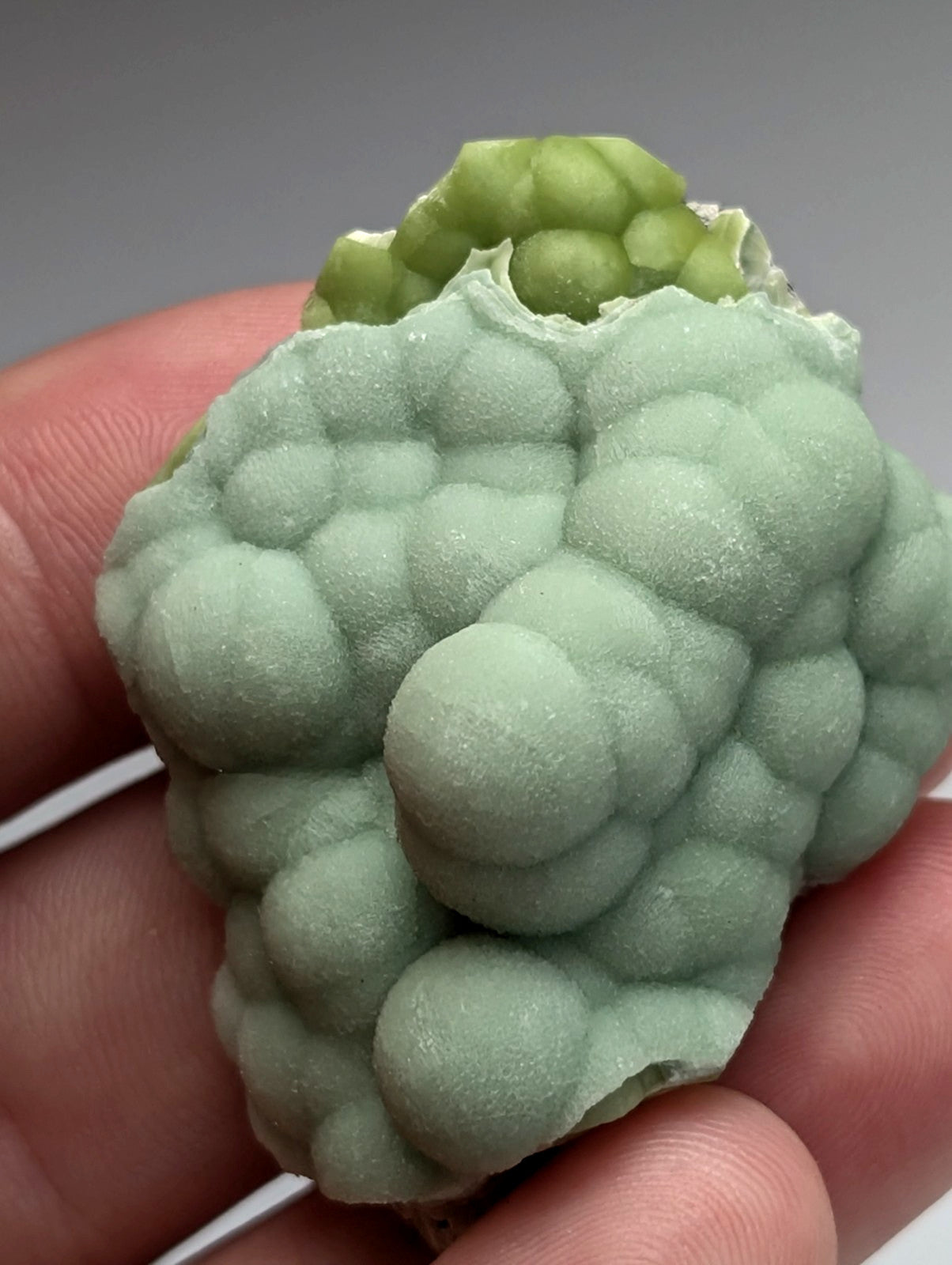 Amazing A+++ wavellite mineral specimen with pale green bumpy surface and rounded protrusions from Mauldin Mountain Arkansas