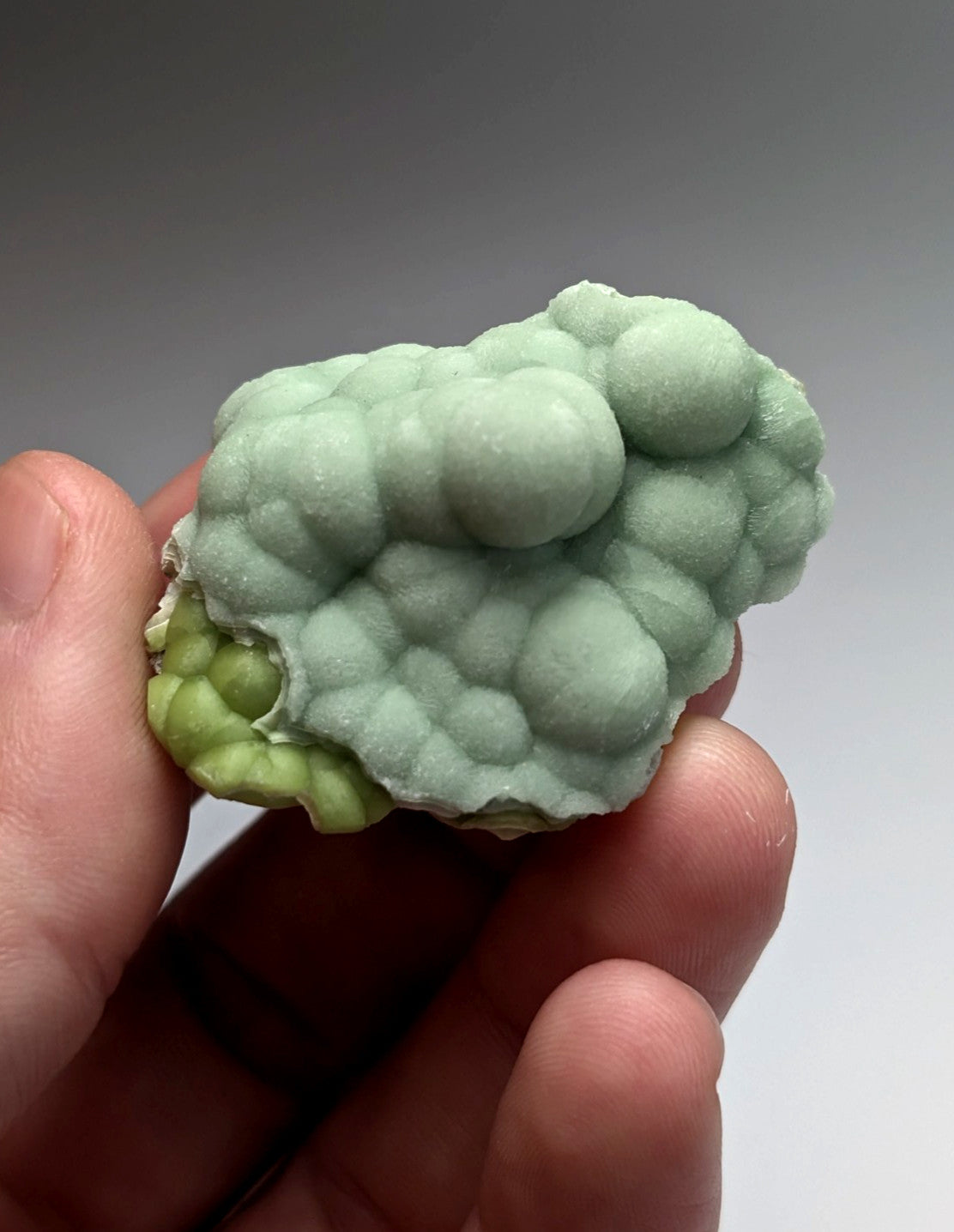 Amazing A+++ wavellite mineral specimen with pale green bubbly texture and rounded nodules from Mauldin Mountain Arkansas