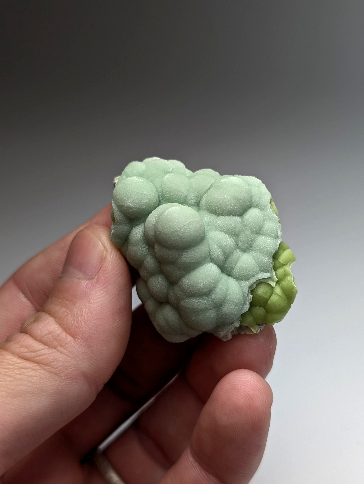 A pale green textured miniature cauliflower sculpture made of amazing a+++ wavellite from mauldin mountain arkansas held in hand