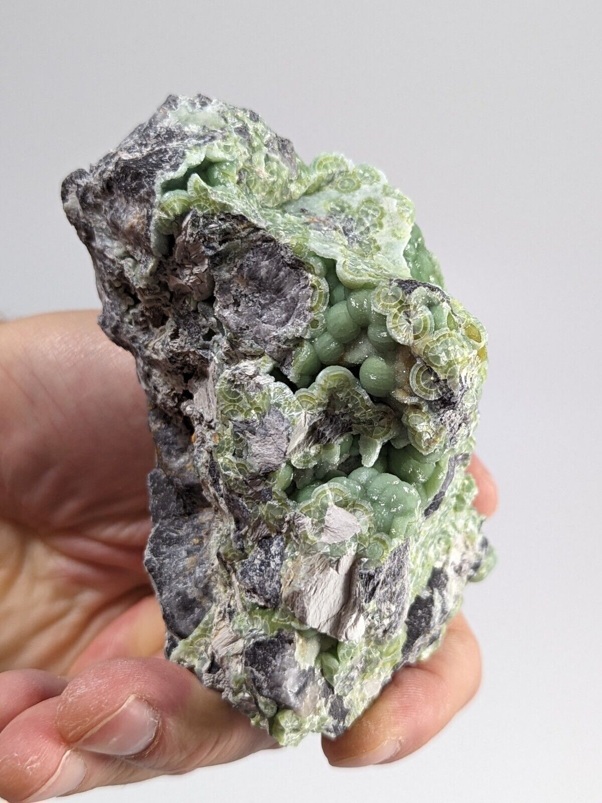 Amazing A + + + Wavellite - Fantastic Old Stock - Mauldin Mountain Arkansas ooak - Collectibles:Rocks Fossils &