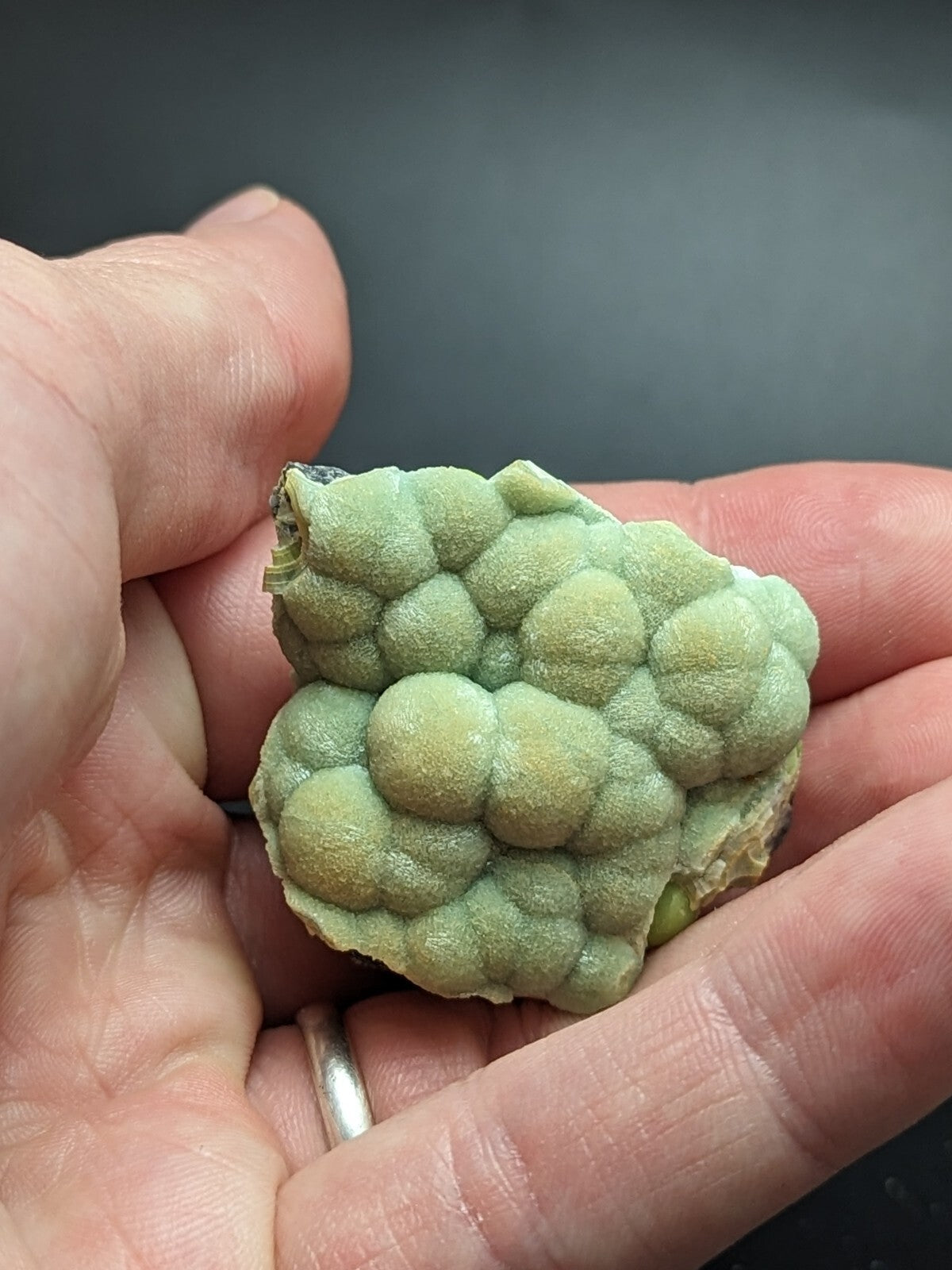 A pale green, textured mineral specimen with a bumpy, clustered surface held in someone’s hand.