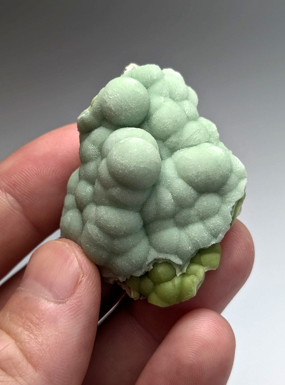 Amazing A+++ wavellite mineral specimen with pale green bumpy textured surface from Mauldin Mountain Arkansas