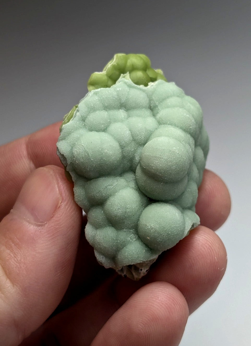 Amazing A+++ wavellite mineral specimen with pale green rounded nodules and textured surface from Mauldin Mountain Arkansas