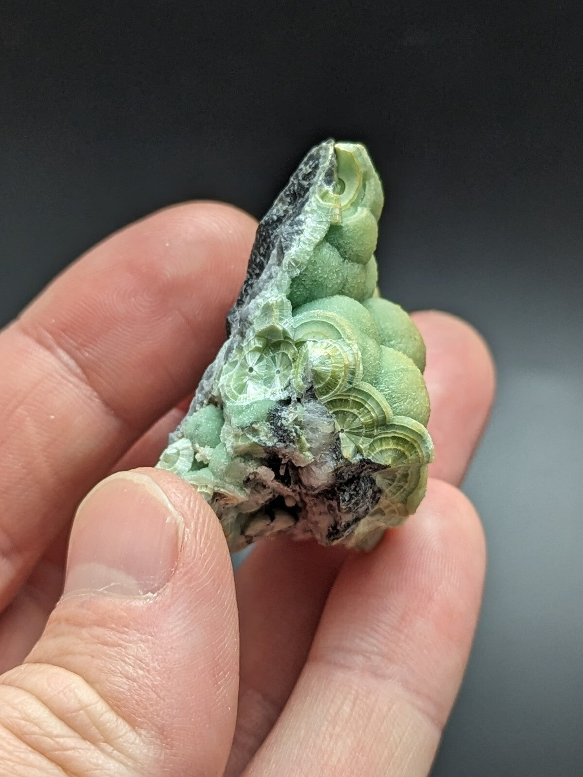 A hand holds a green, layered mineral specimen with intricate concentric patterns and dark matrix.