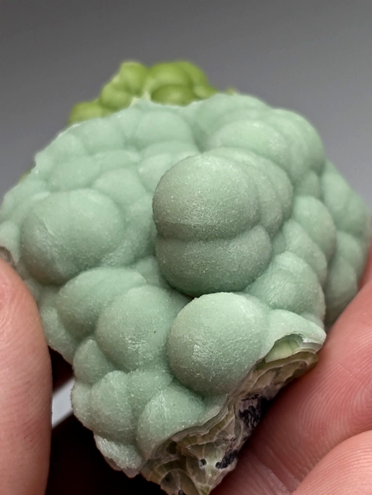 Amazing A+++ wavellite mineral specimen with pale green bubble-like texture and rougher base from Mauldin Mountain Arkansas
