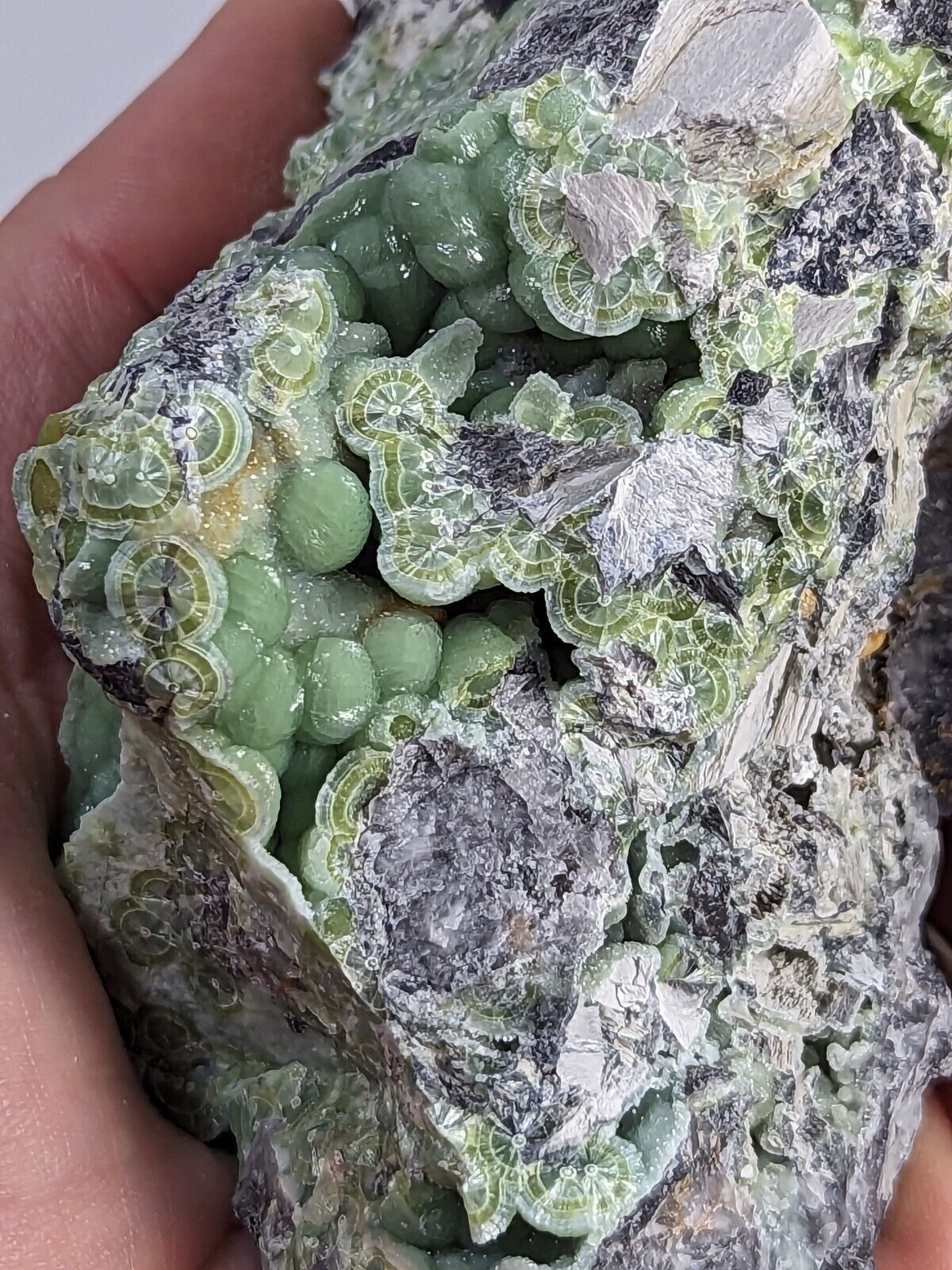 Amazing A + + + Wavellite - Fantastic Old Stock - Mauldin Mountain Arkansas ooak - Collectibles:Rocks Fossils &