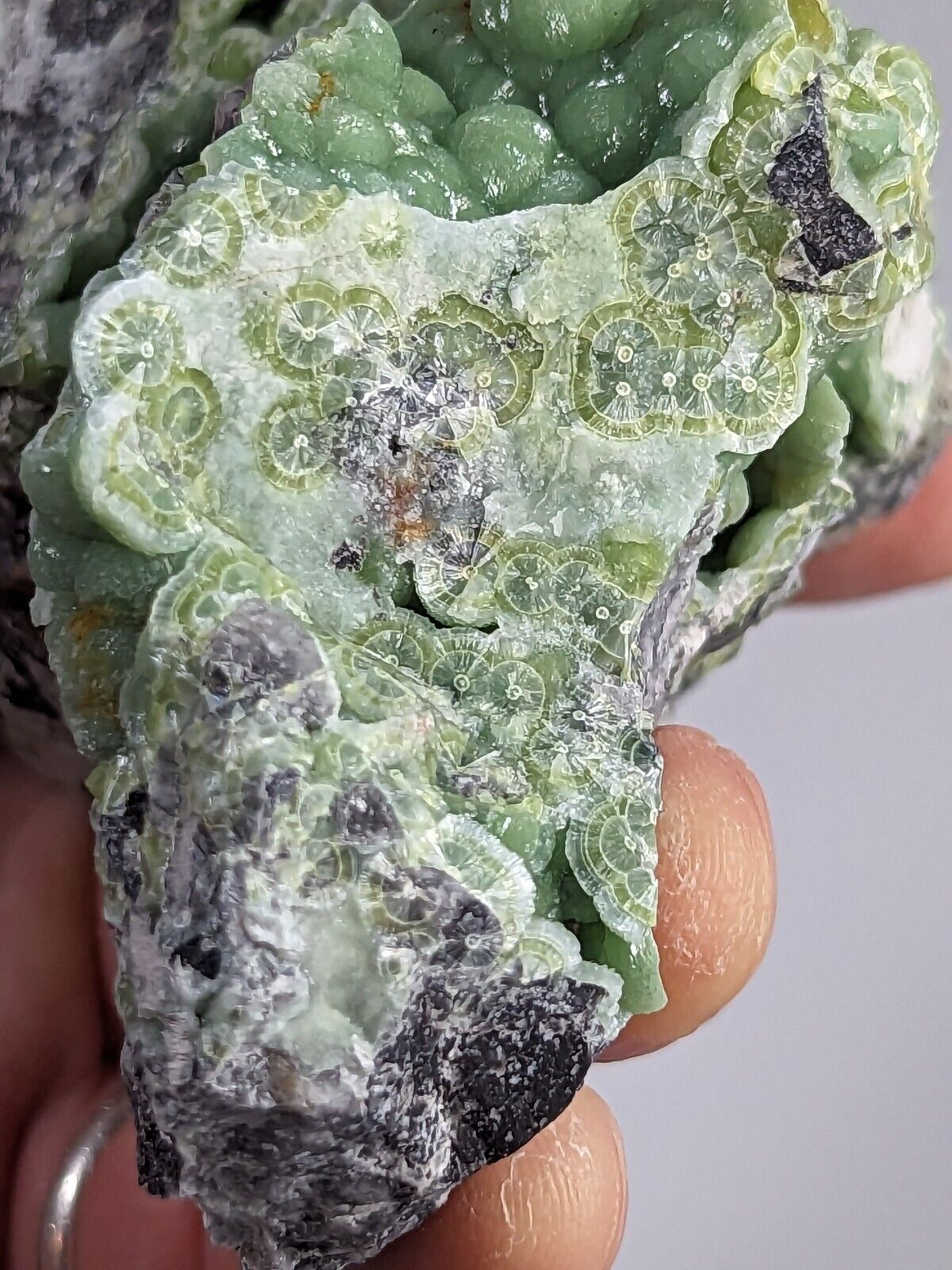 Amazing A + + + Wavellite - Fantastic Old Stock - Mauldin Mountain Arkansas ooak - Collectibles:Rocks Fossils &
