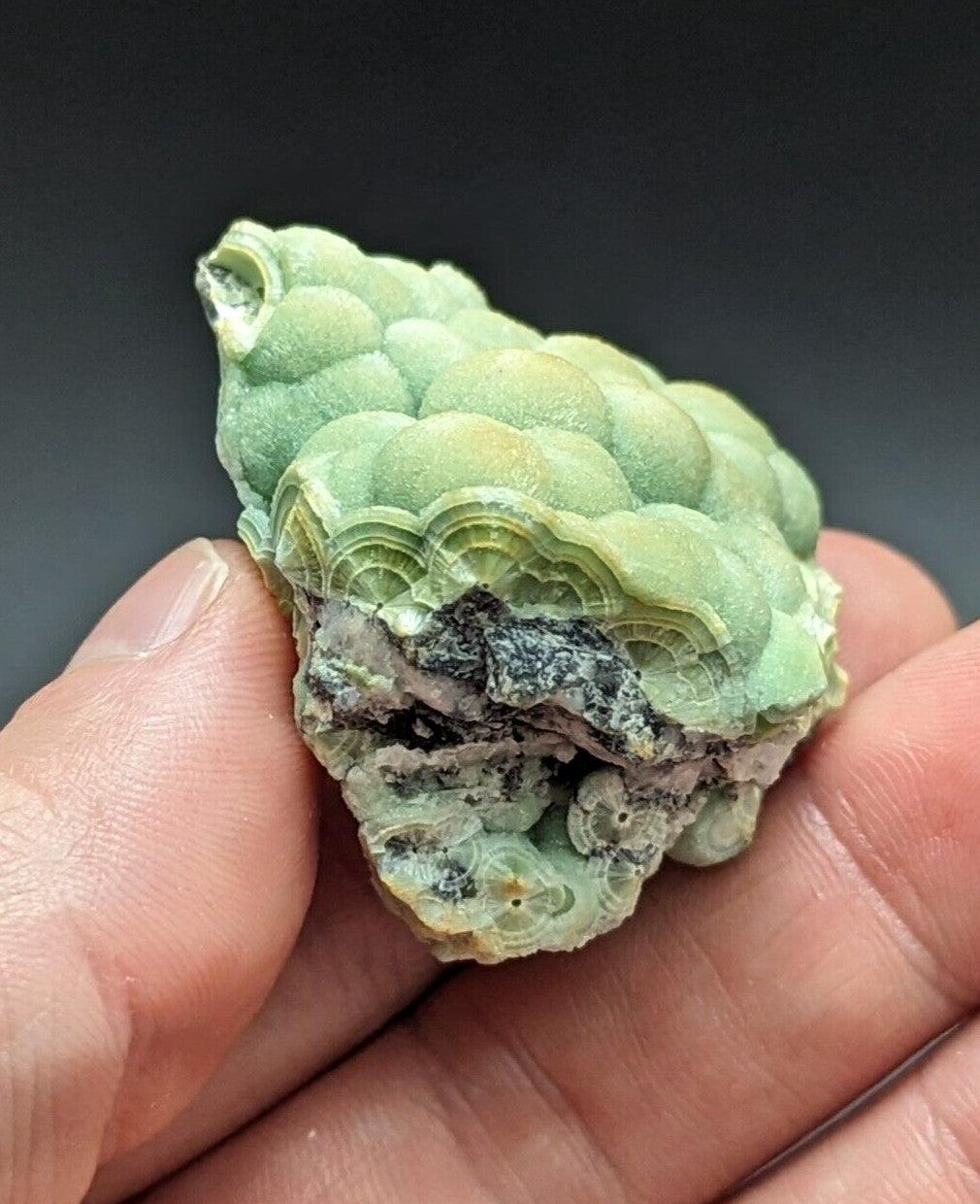 A pale green, bumpy mineral specimen with layered concentric rings and a rougher base.