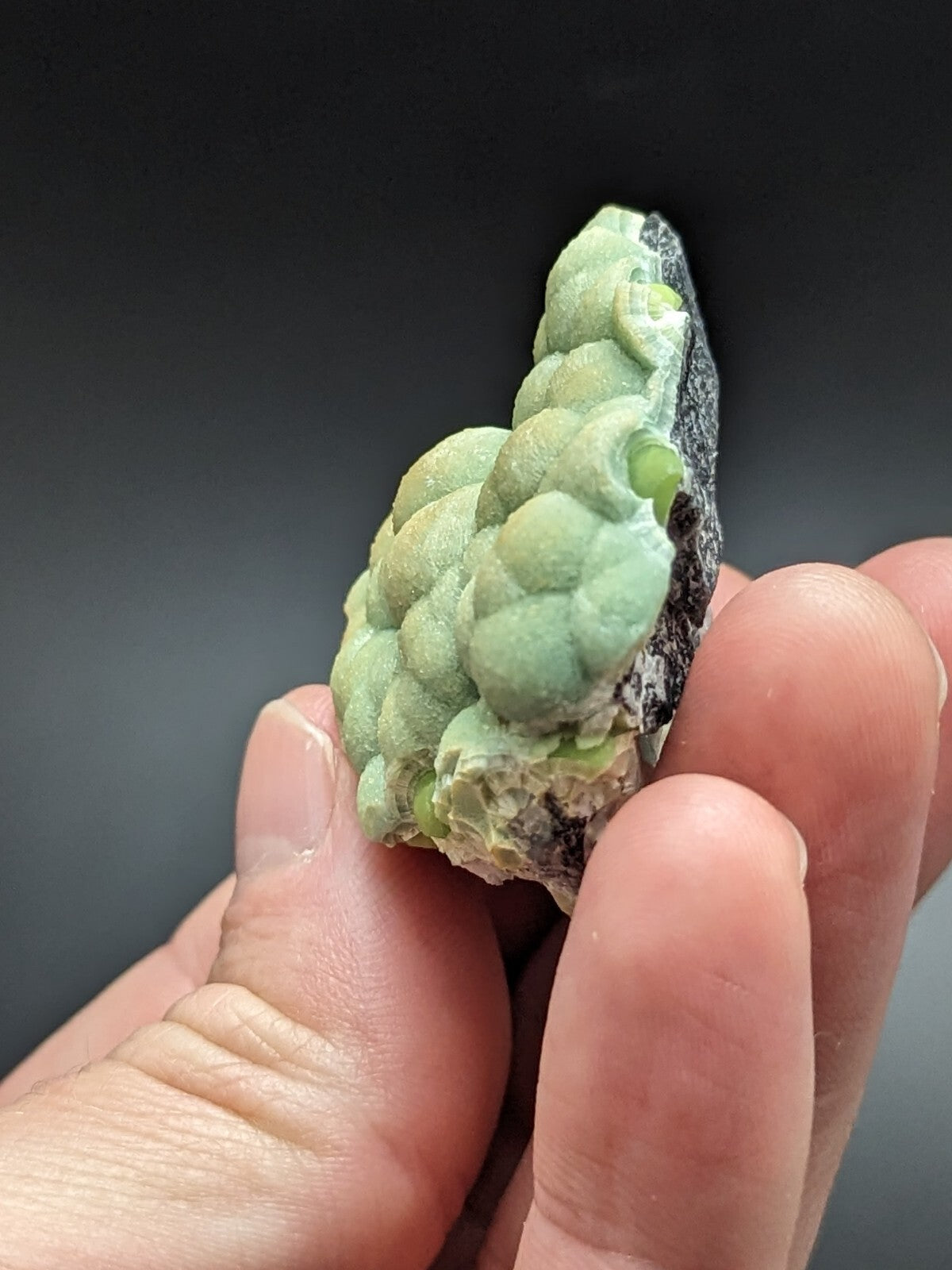 A pale green, bumpy mineral specimen with a rough, dark gray matrix base.