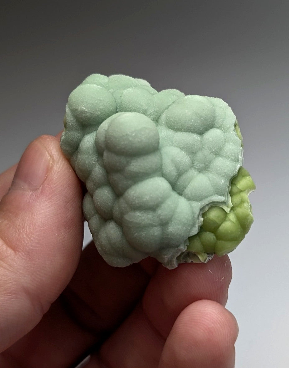 Amazing A+++ wavellite mineral specimen with pale green textured bumpy surface and darker green interior from Arkansas