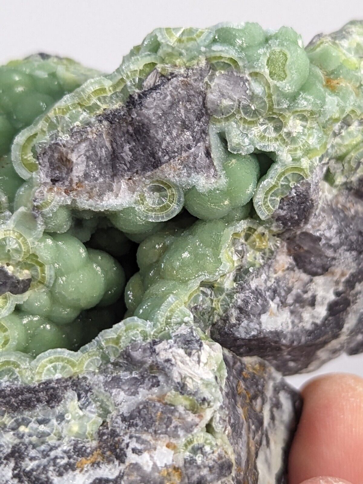 Amazing A + + + Wavellite - Fantastic Old Stock - Mauldin Mountain Arkansas ooak - Collectibles:Rocks Fossils &