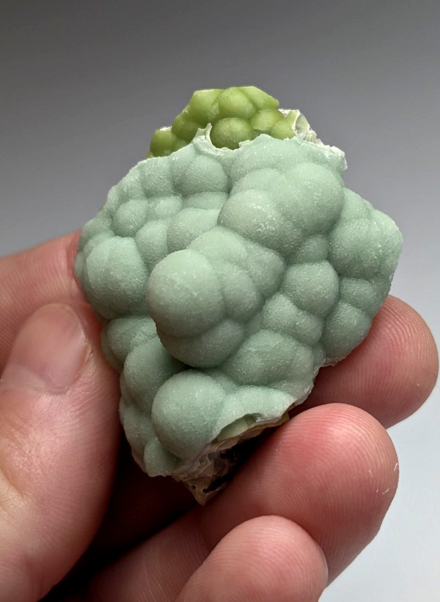 Amazing A+++ wavellite mineral specimen with pale green bumpy textured surface and rounded protrusions from Arkansas