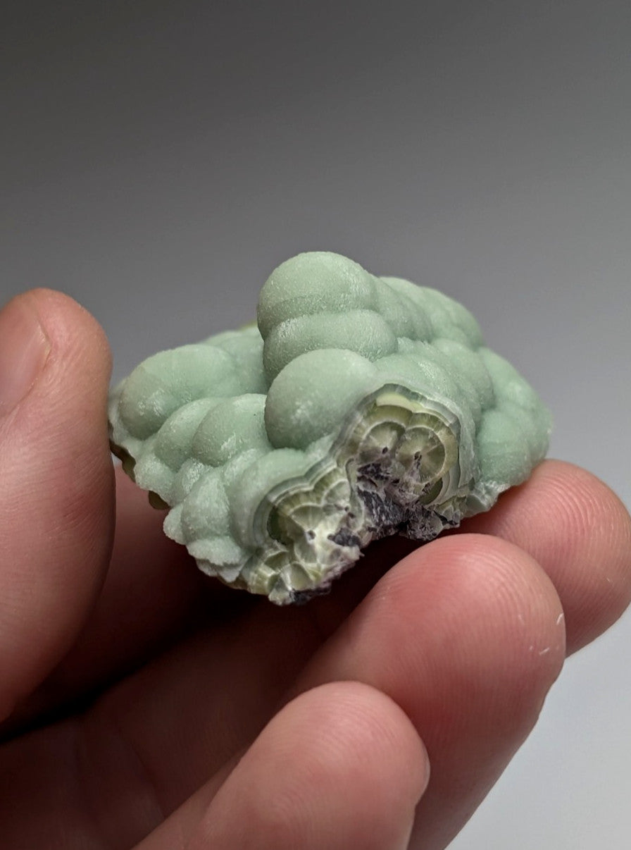 Amazing A+++ wavellite mineral specimen from Mauldin Mountain Arkansas with pale green bubbly textured surface and intricate patterns