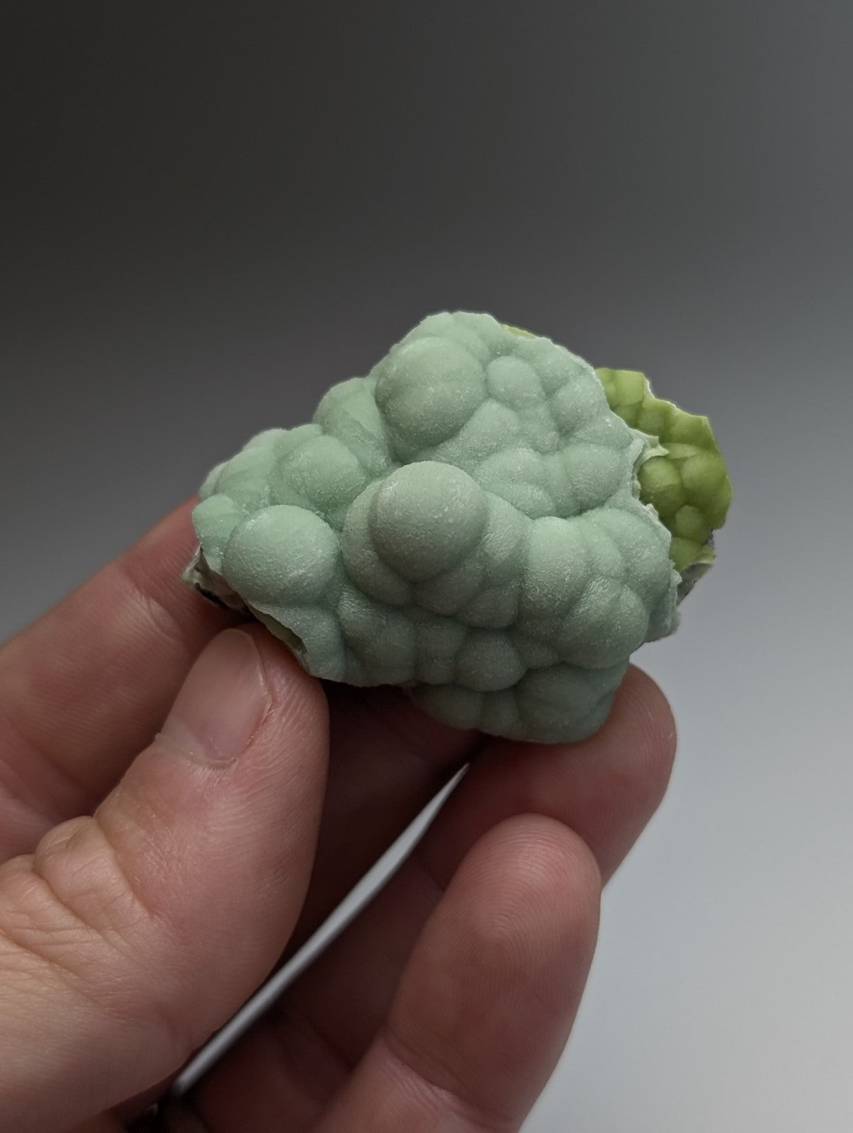 Amazing a+++ wavellite textured pale green 3d printed cauliflower sculpture with subtle color gradient from Arkansas