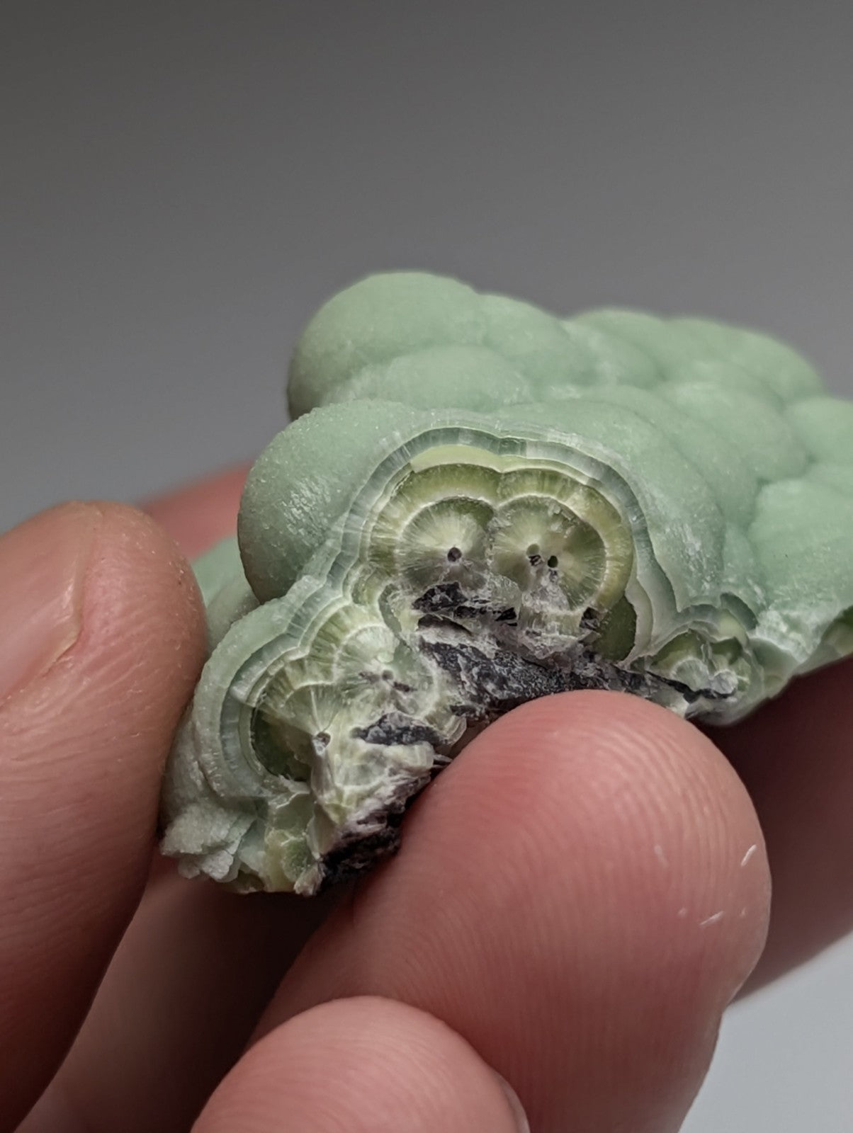 Amazing A+++ wavellite mineral specimen with pale green layered bubble surface and dark inclusions from Mauldin Mountain Arkansas