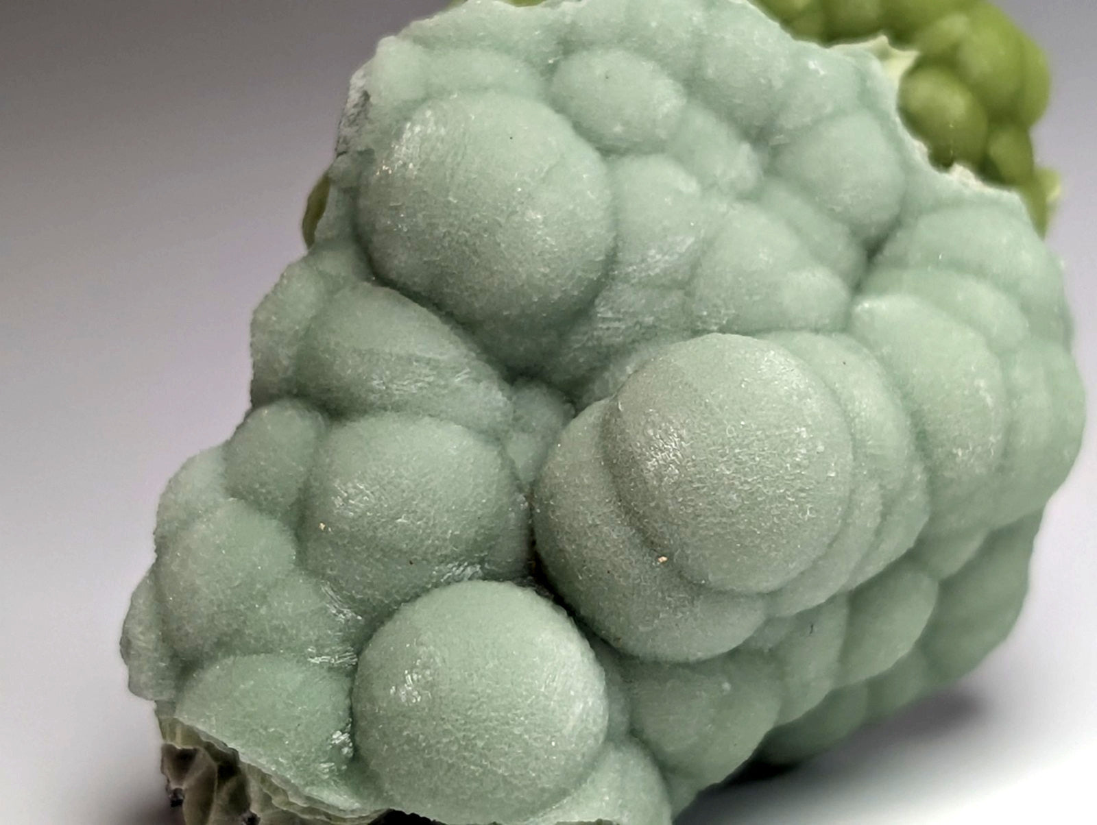 Amazing A+++ wavellite mineral specimen with pale green bubbly textured surface and rounded nodules from Mauldin Mountain Arkansas