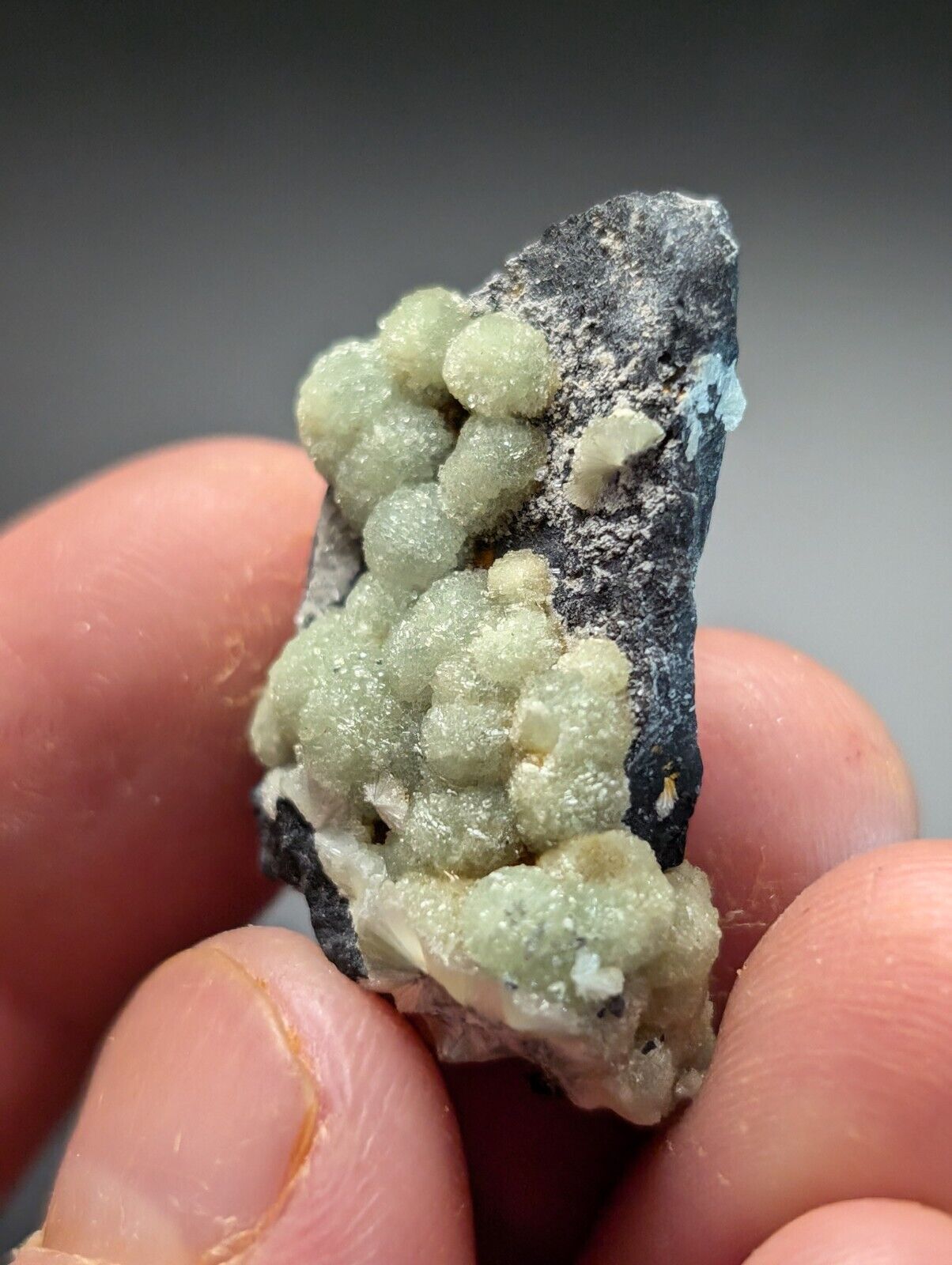 Amazing A + Wavellite Specimen (Arkansas USA) - OOAK Natural Crystal Cluster - Collectibles:Rocks Fossils &