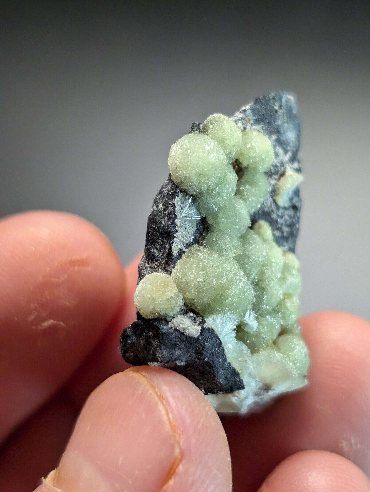 Amazing A + Wavellite Specimen (Arkansas USA) - OOAK Natural Crystal Cluster - Collectibles:Rocks Fossils &
