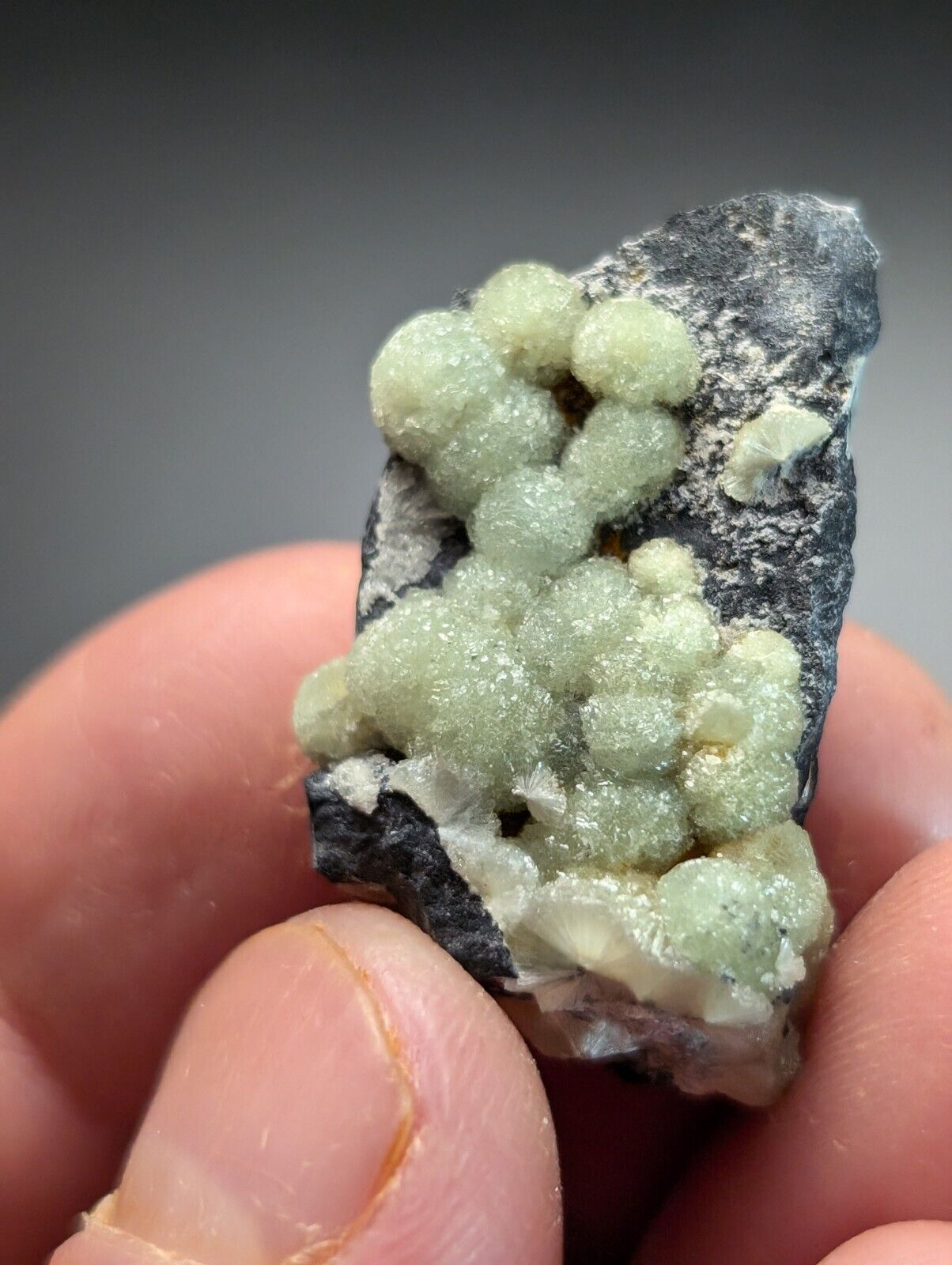 Amazing A + Wavellite Specimen (Arkansas USA) - OOAK Natural Crystal Cluster - Collectibles:Rocks Fossils &