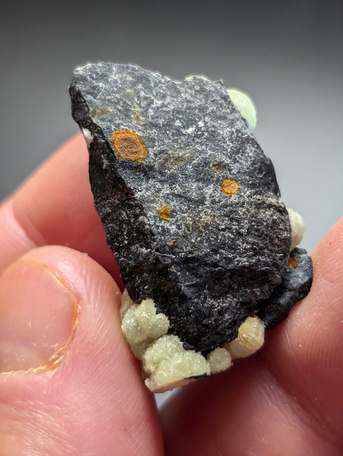 Amazing A + Wavellite Specimen (Arkansas USA) - OOAK Natural Crystal Cluster - Collectibles:Rocks Fossils &