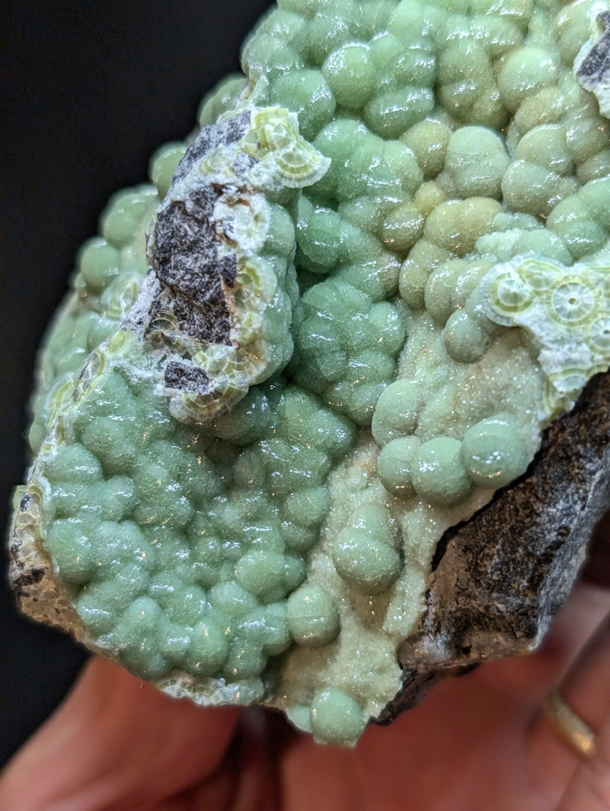 A cluster of pale green, bead-like mineral formations with a glossy surface and some darker patches.