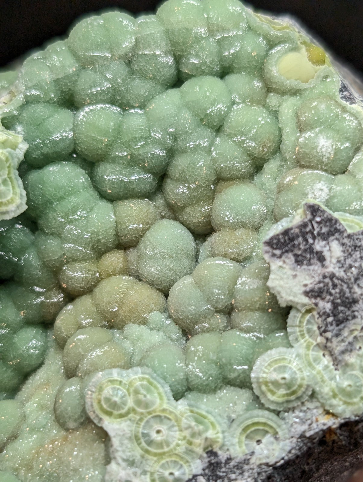 A cluster of translucent, pale green spherical crystals with a glossy surface and some exhibiting concentric circular patterns.