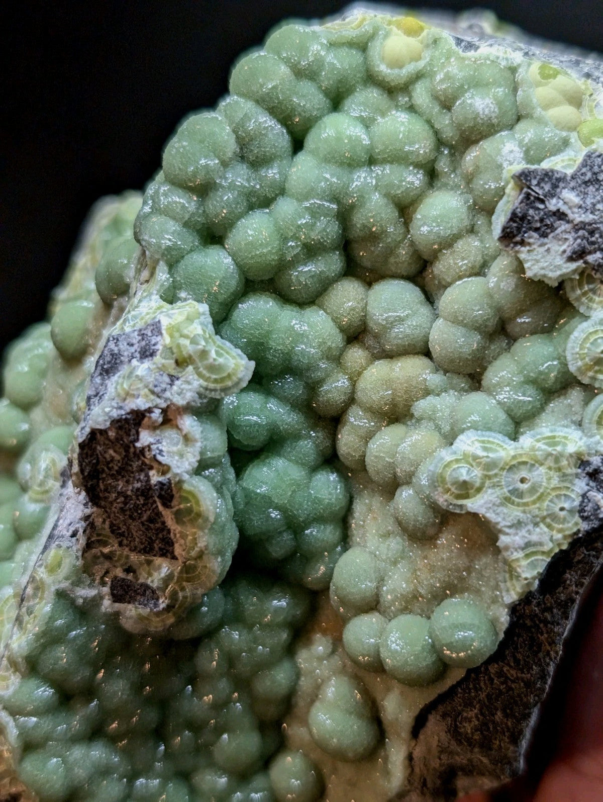 A cluster of pale green, bead-like mineral formations with a glossy surface and some yellowish accents.