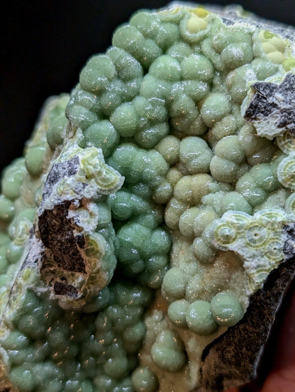 A cluster of pale green, bead-like mineral formations with a glossy surface and some yellowish accents.
