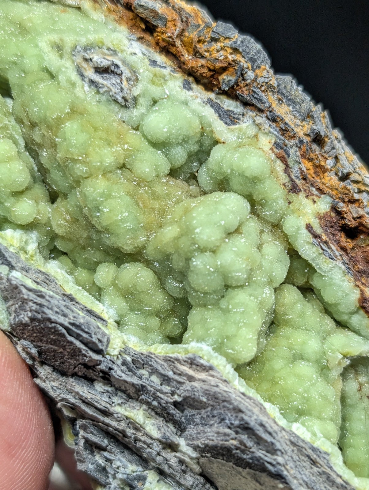 A cluster of translucent, light green mineral crystals with a bumpy, rounded texture nestled within a rugged gray rock matrix.