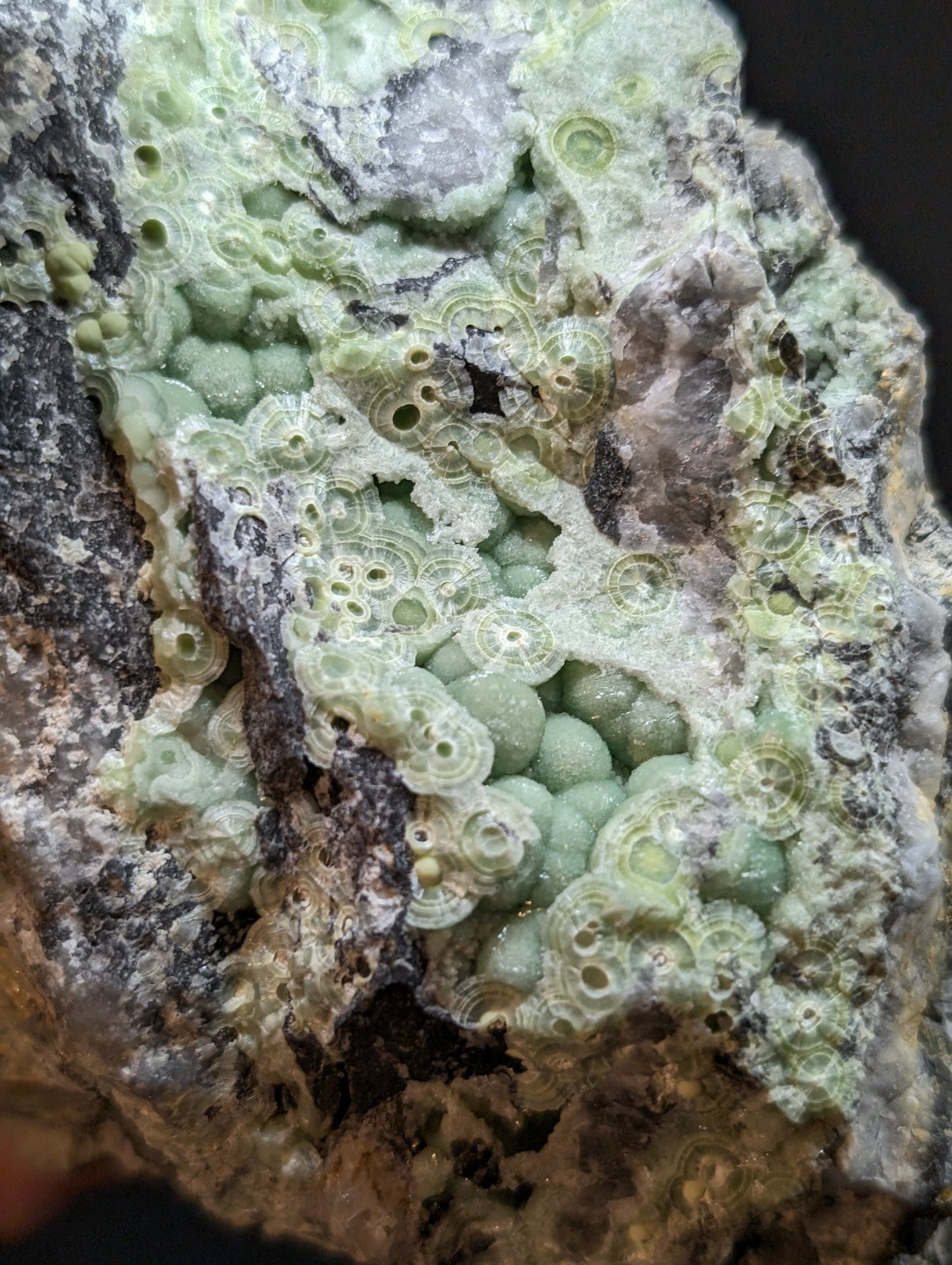 A pale green, textured mineral specimen featuring intricate circular patterns and small spherical formations.