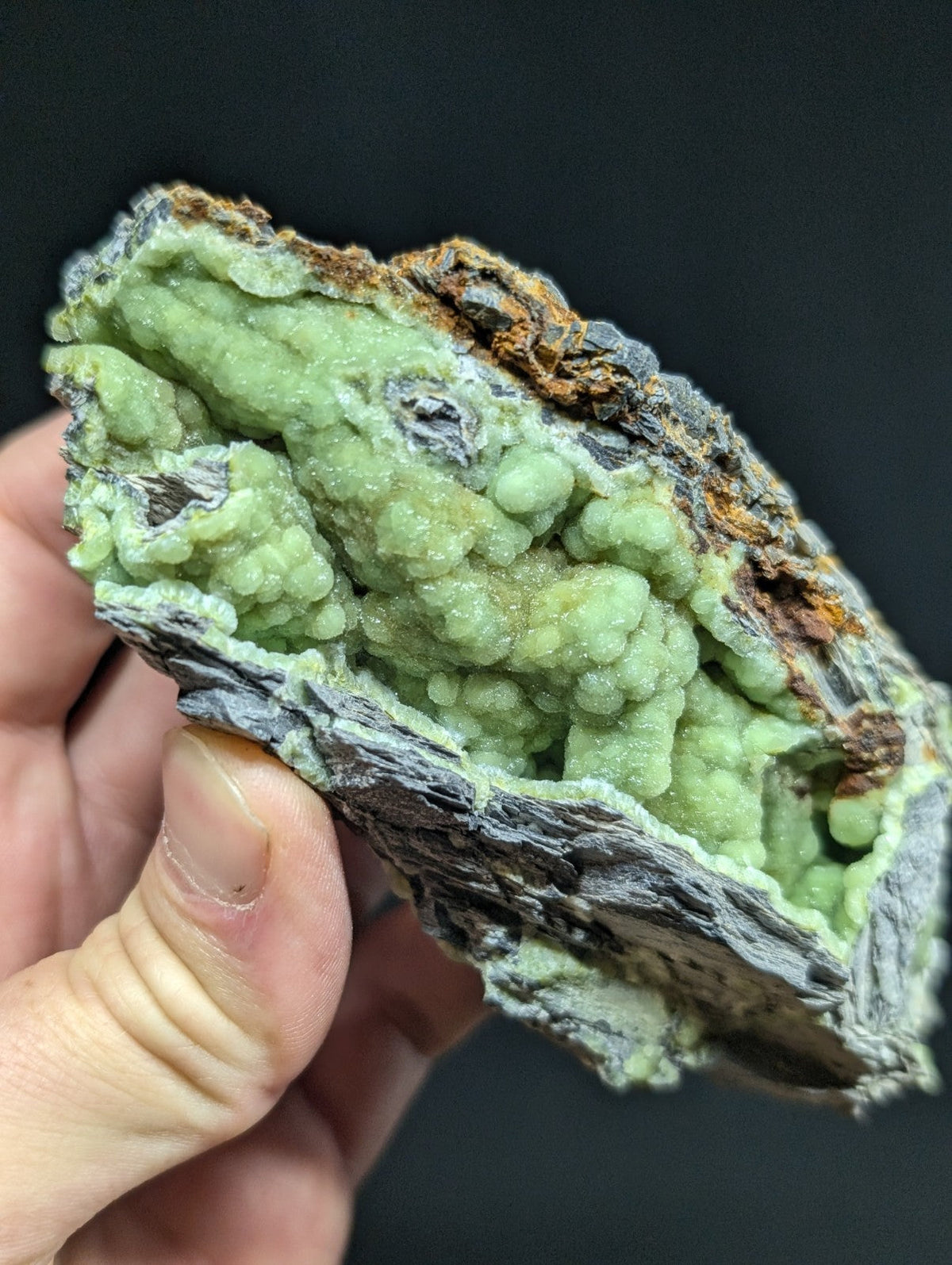 A hand holds a striking green mineral specimen with intricate, bumpy crystalline formations against a dark background.